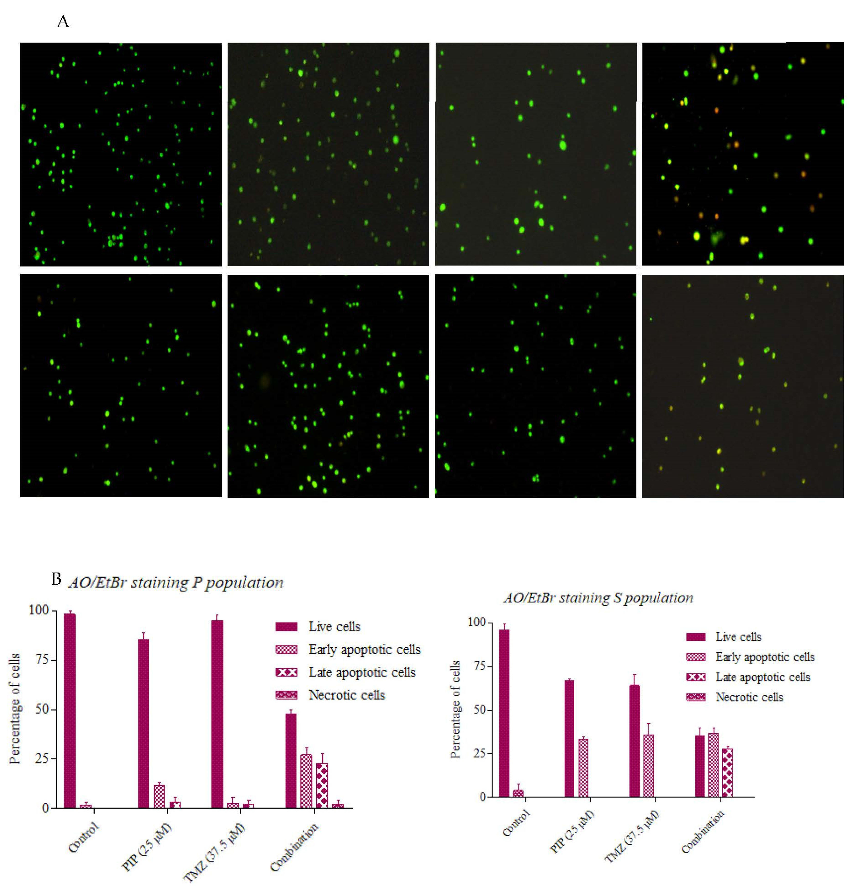 Ijms 23 07604 g015 Ijms 23 07604 g015