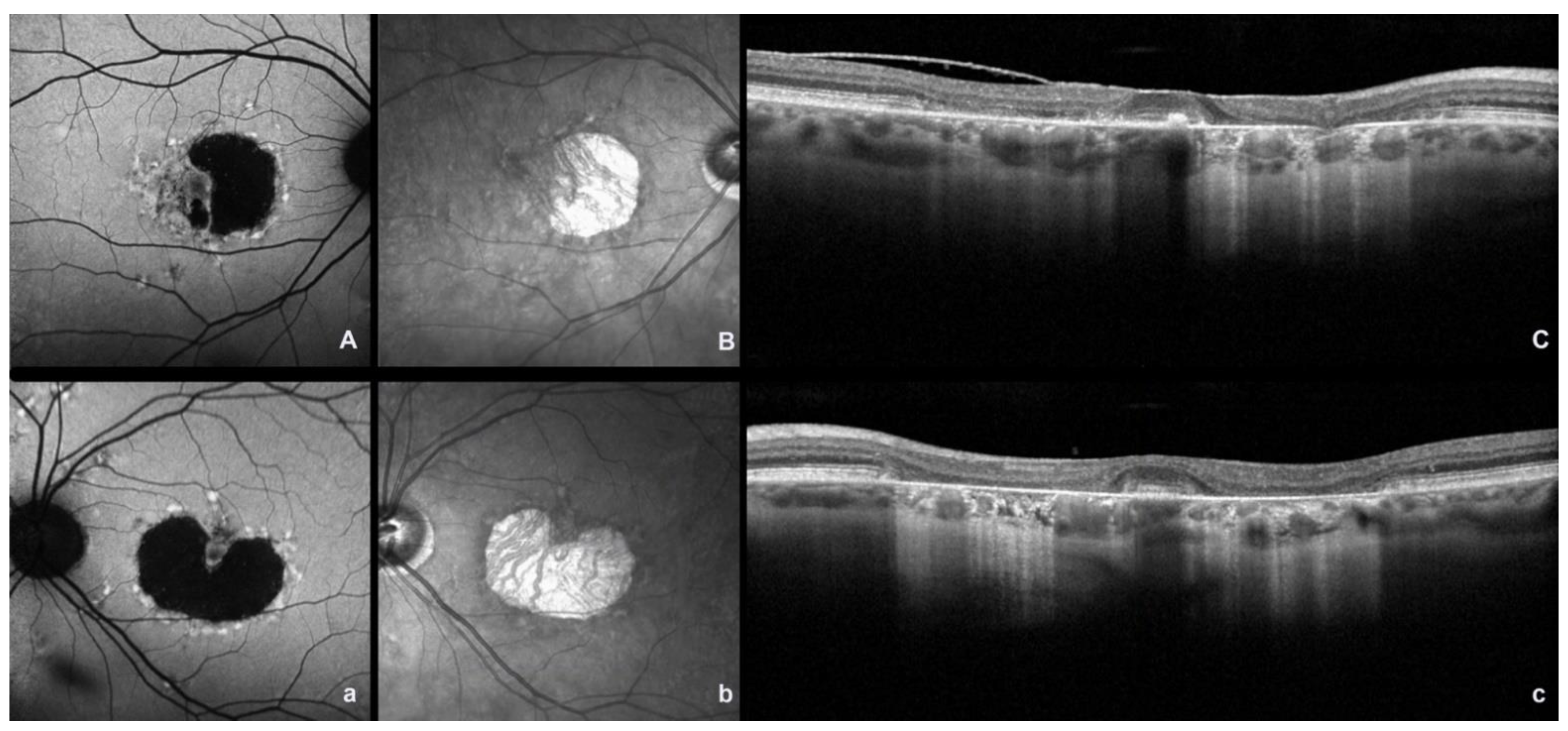 Ijms 23 07607 g002 550