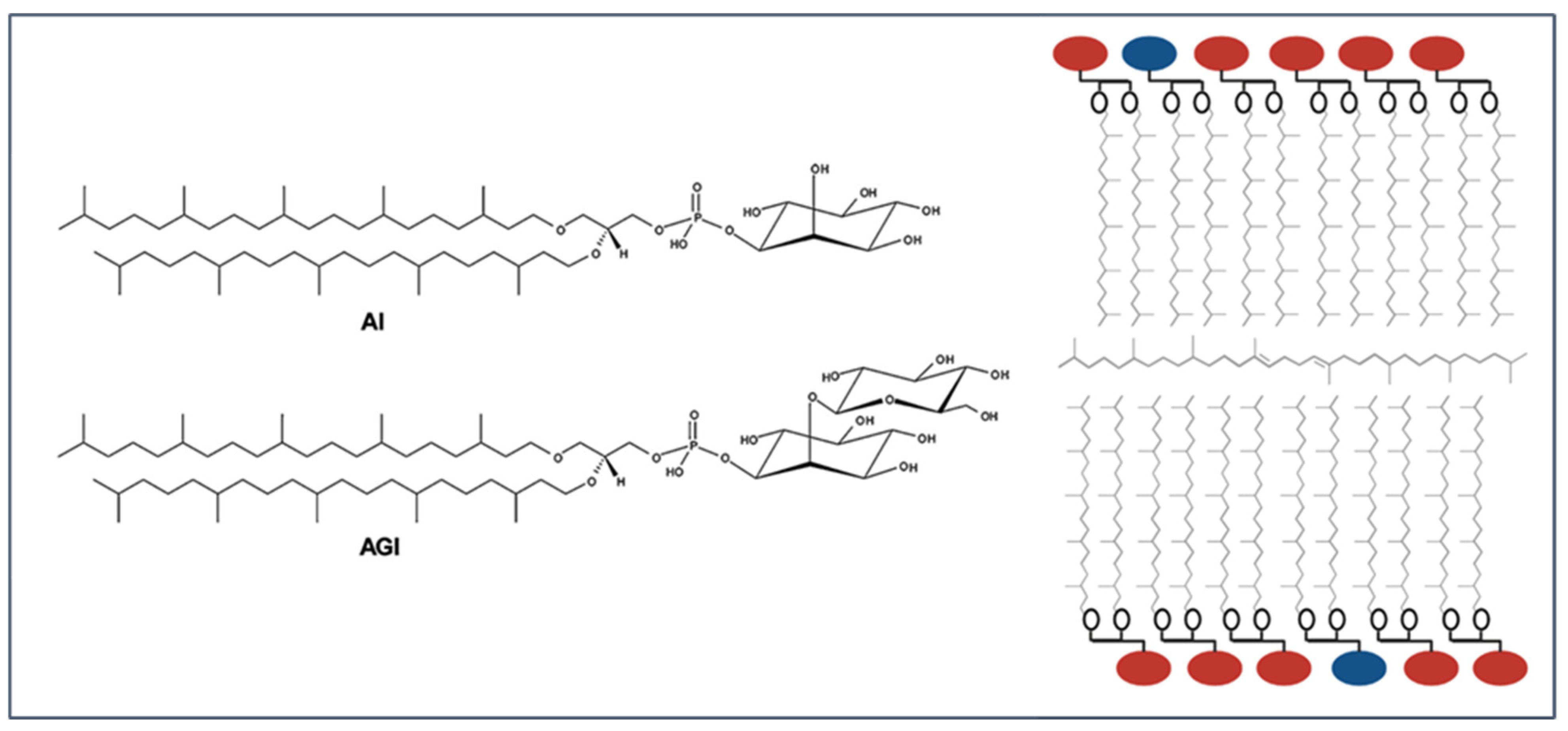 Ijms 23 07616 g002 Ijms 23 07616 g002
