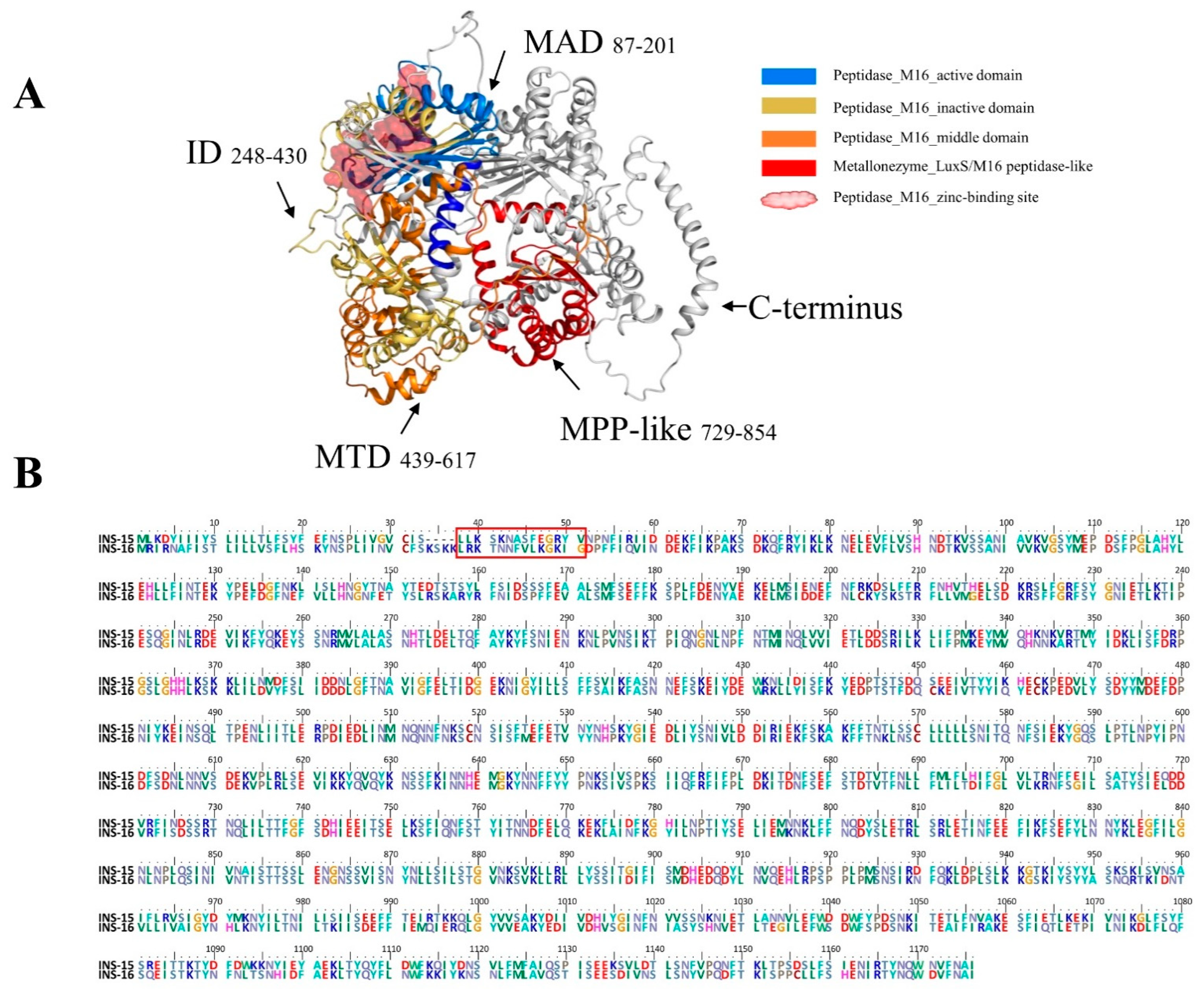 Ijms 23 07617 g001 550