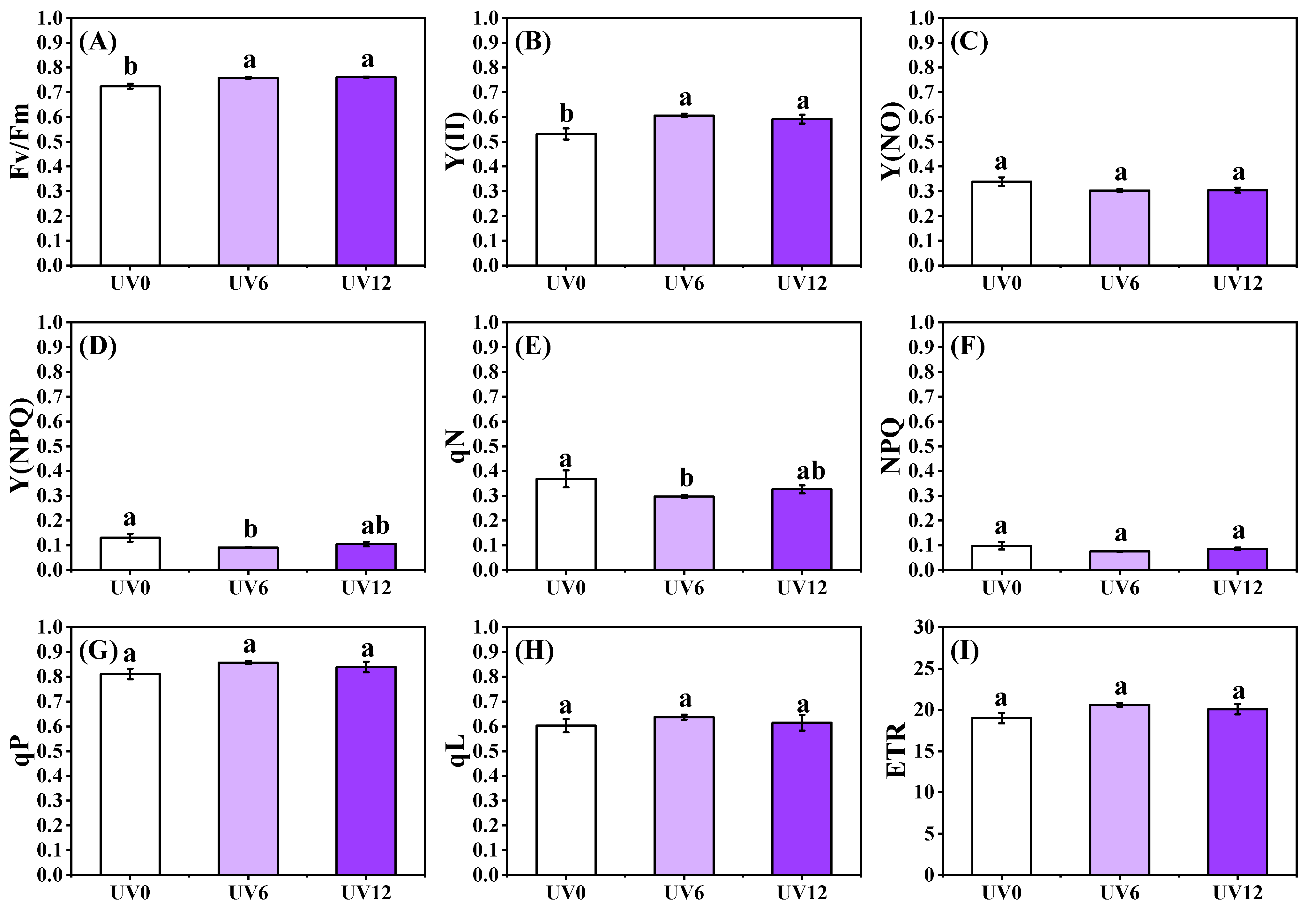 Ijms 23 07619 g004 550