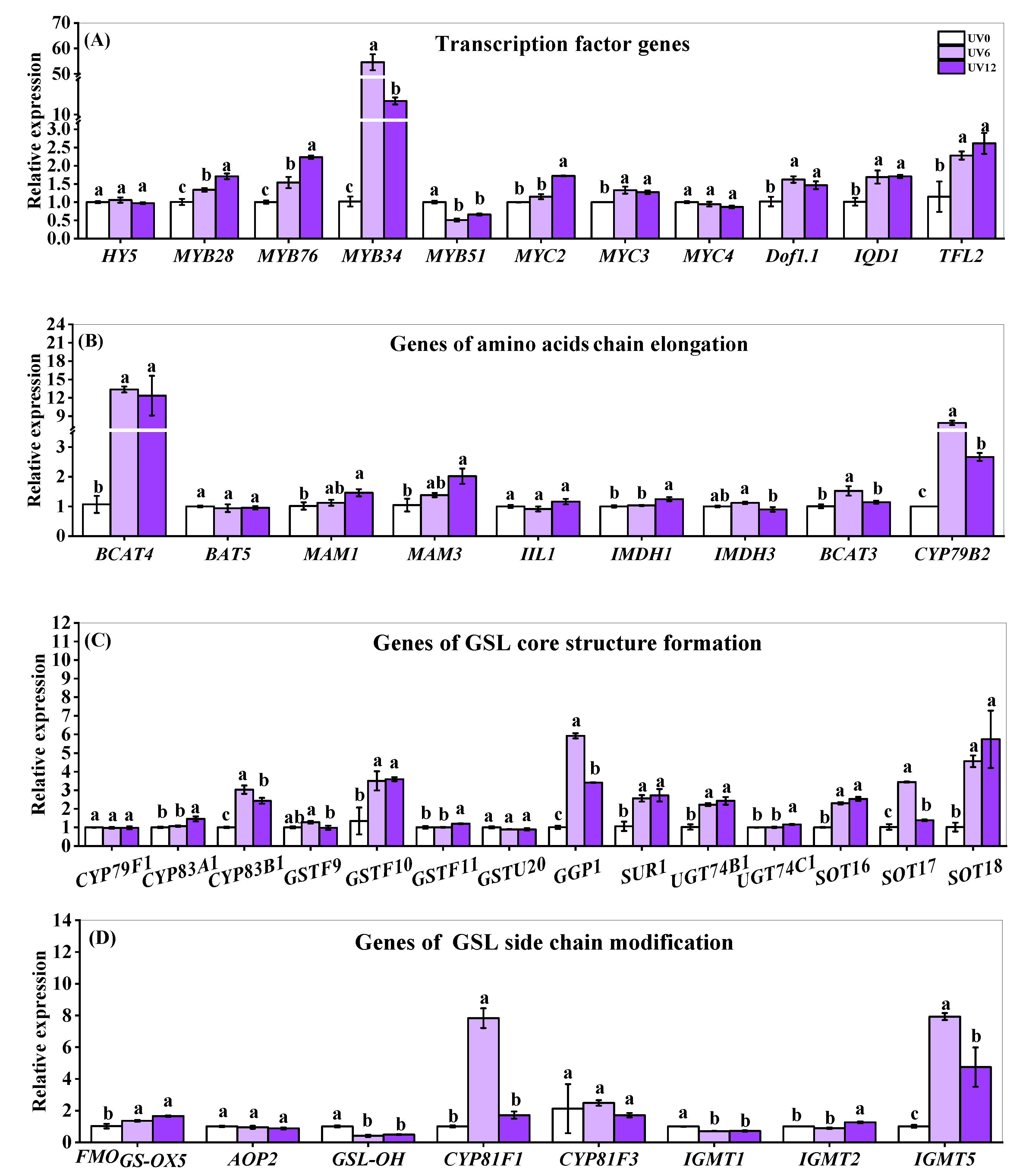 Ijms 23 07619 g009 550