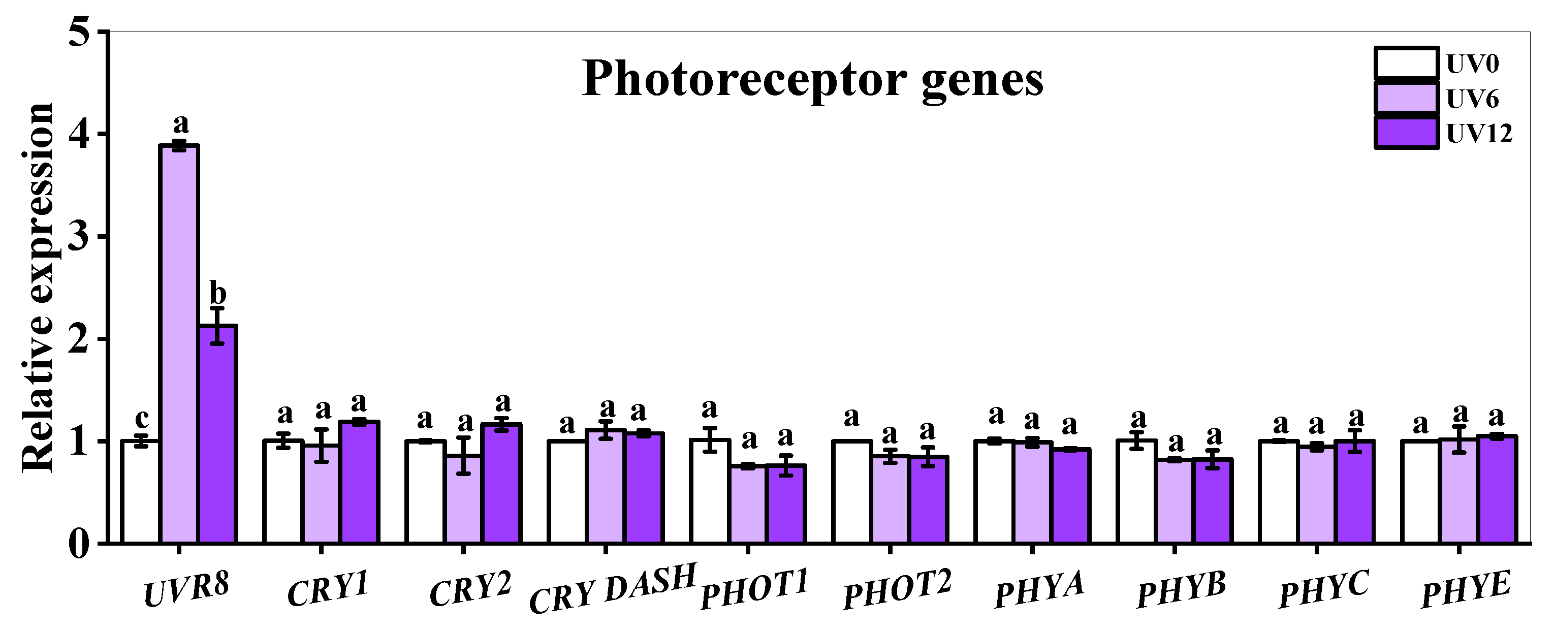 Ijms 23 07619 g010 550