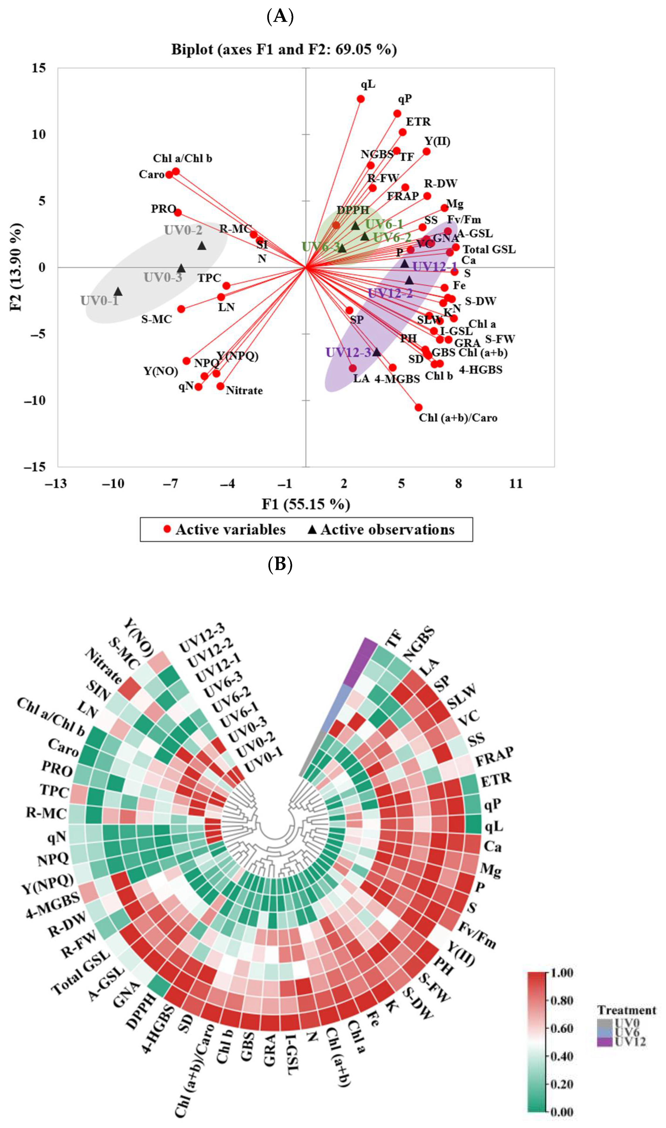 Ijms 23 07619 g011 550