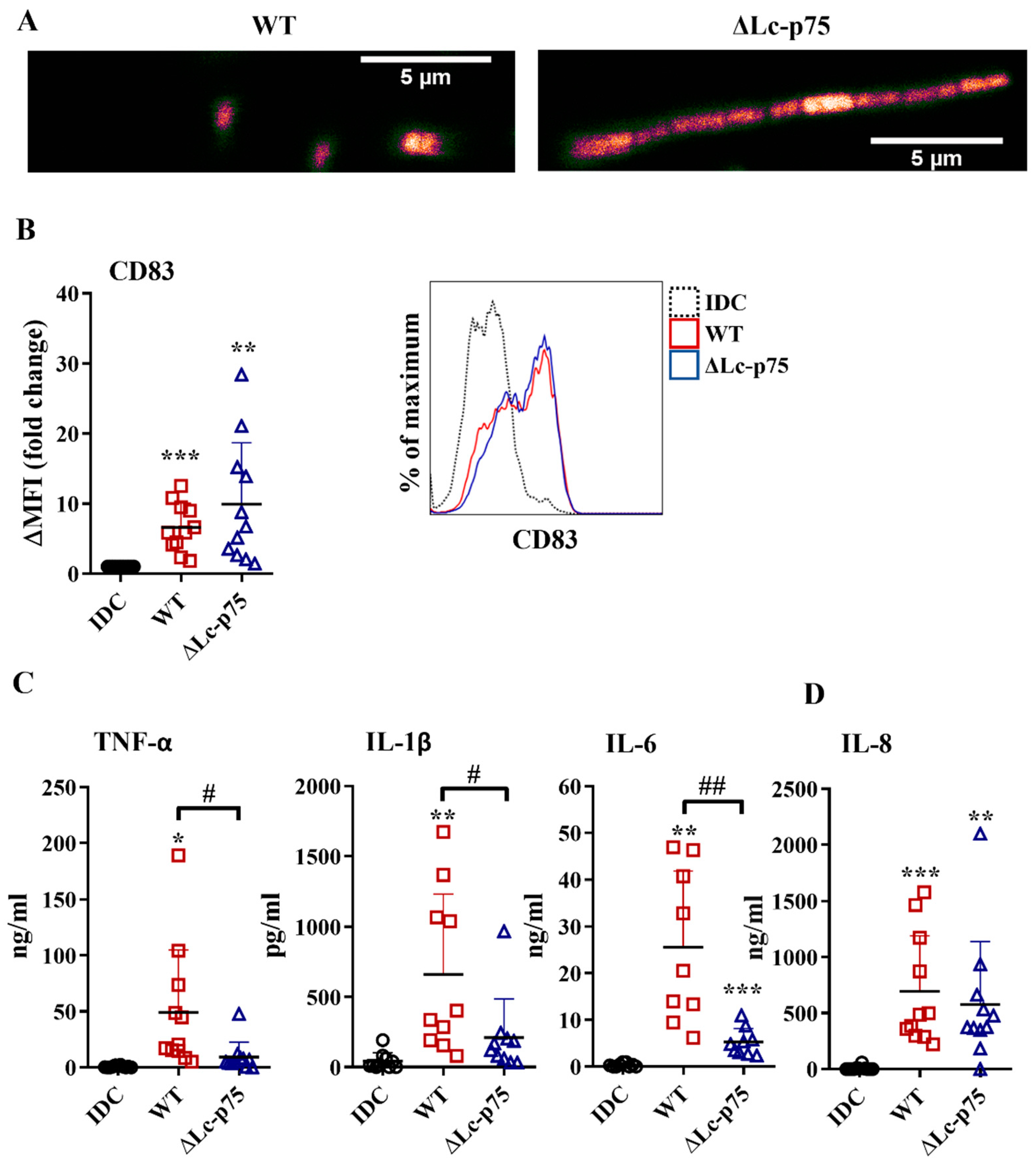 Ijms 23 07620 g001 550