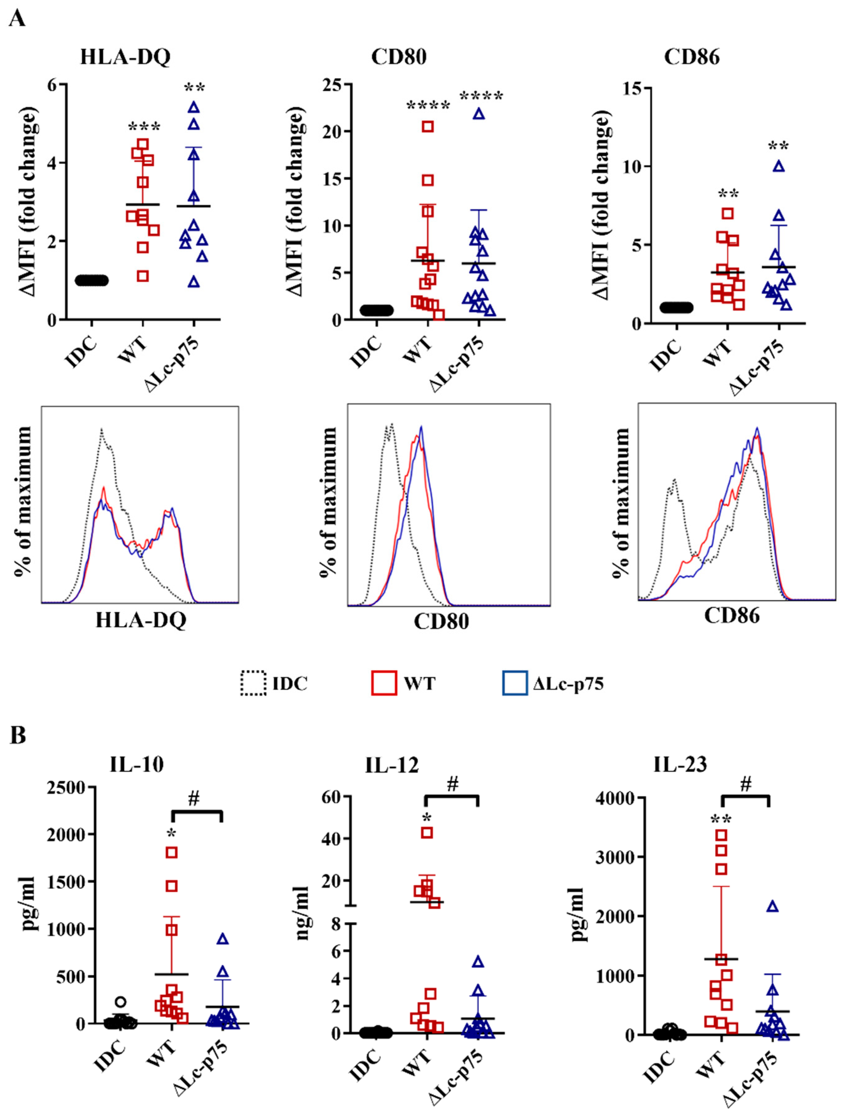 Ijms 23 07620 g002 550