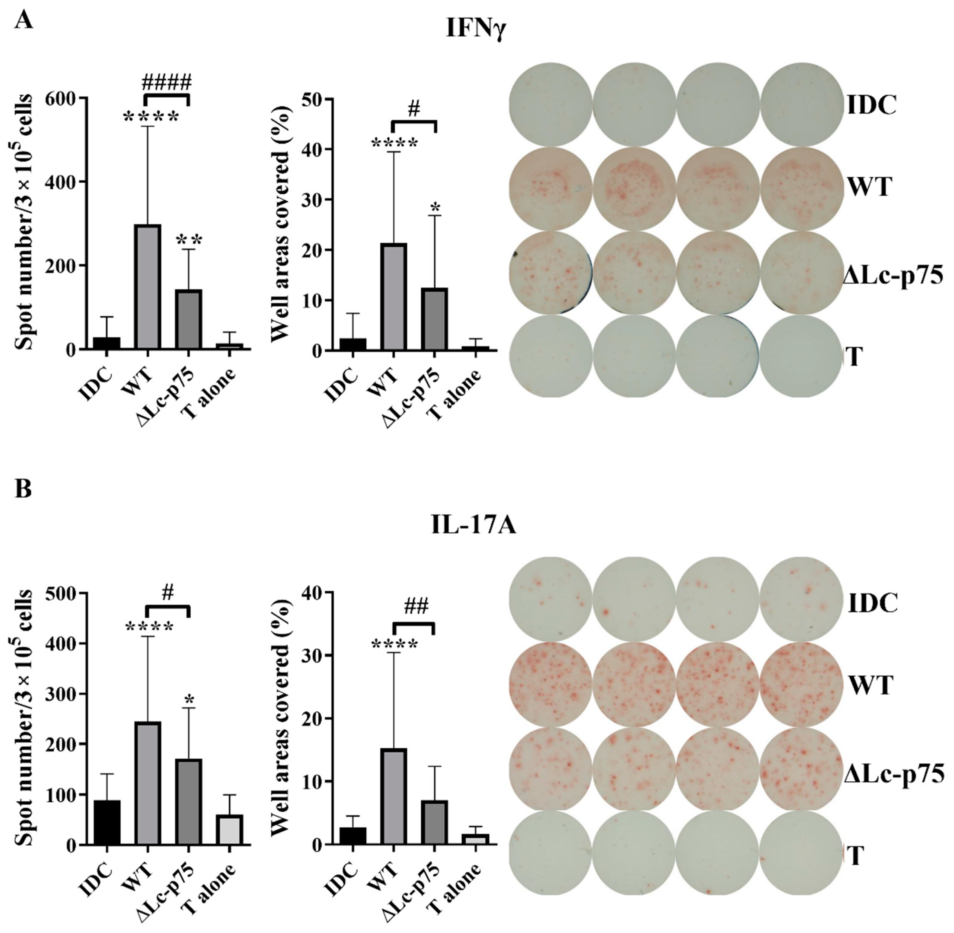 Ijms 23 07620 g003 550