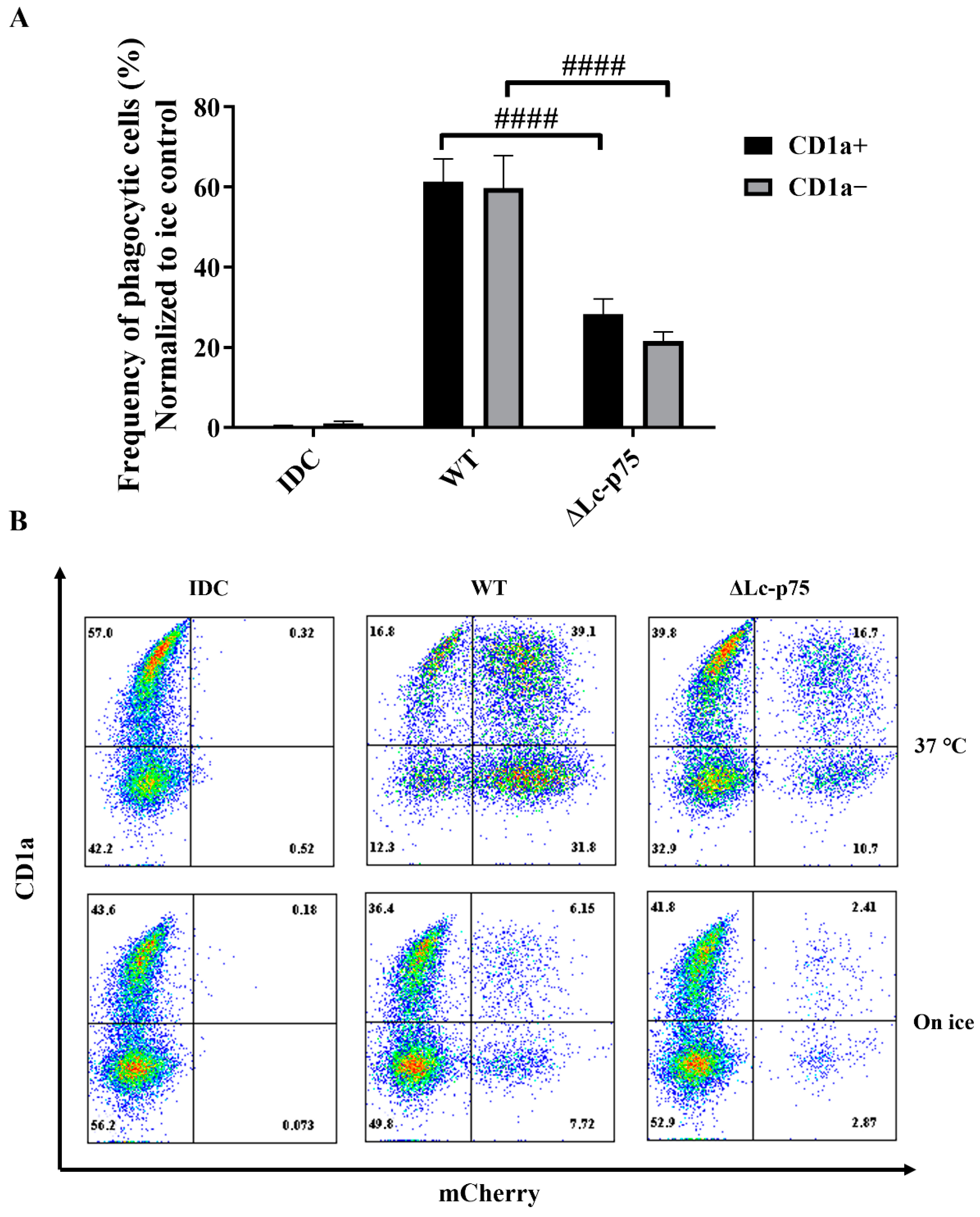 Ijms 23 07620 g006 550