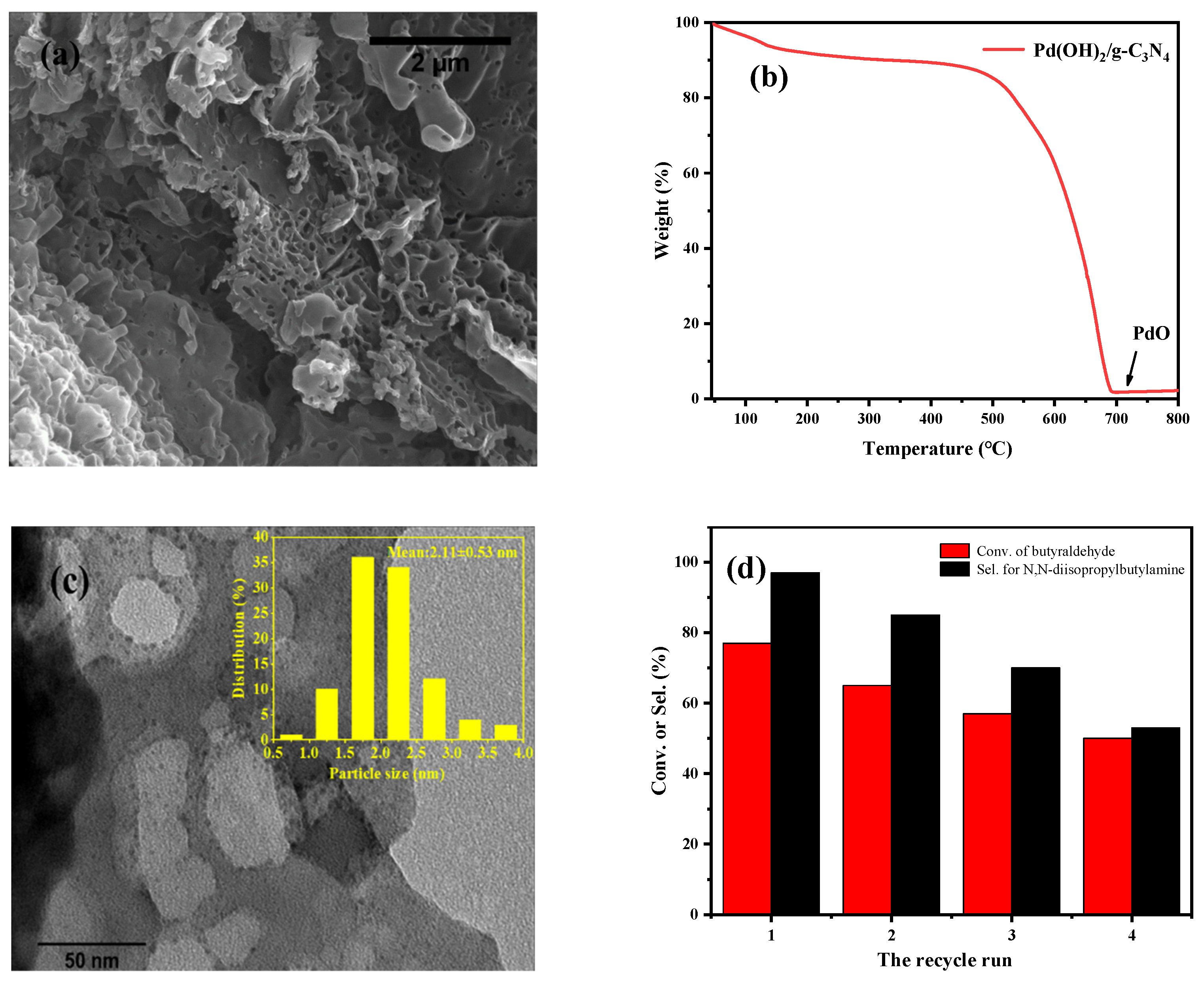 Ijms 23 07621 g004 Ijms 23 07621 g004