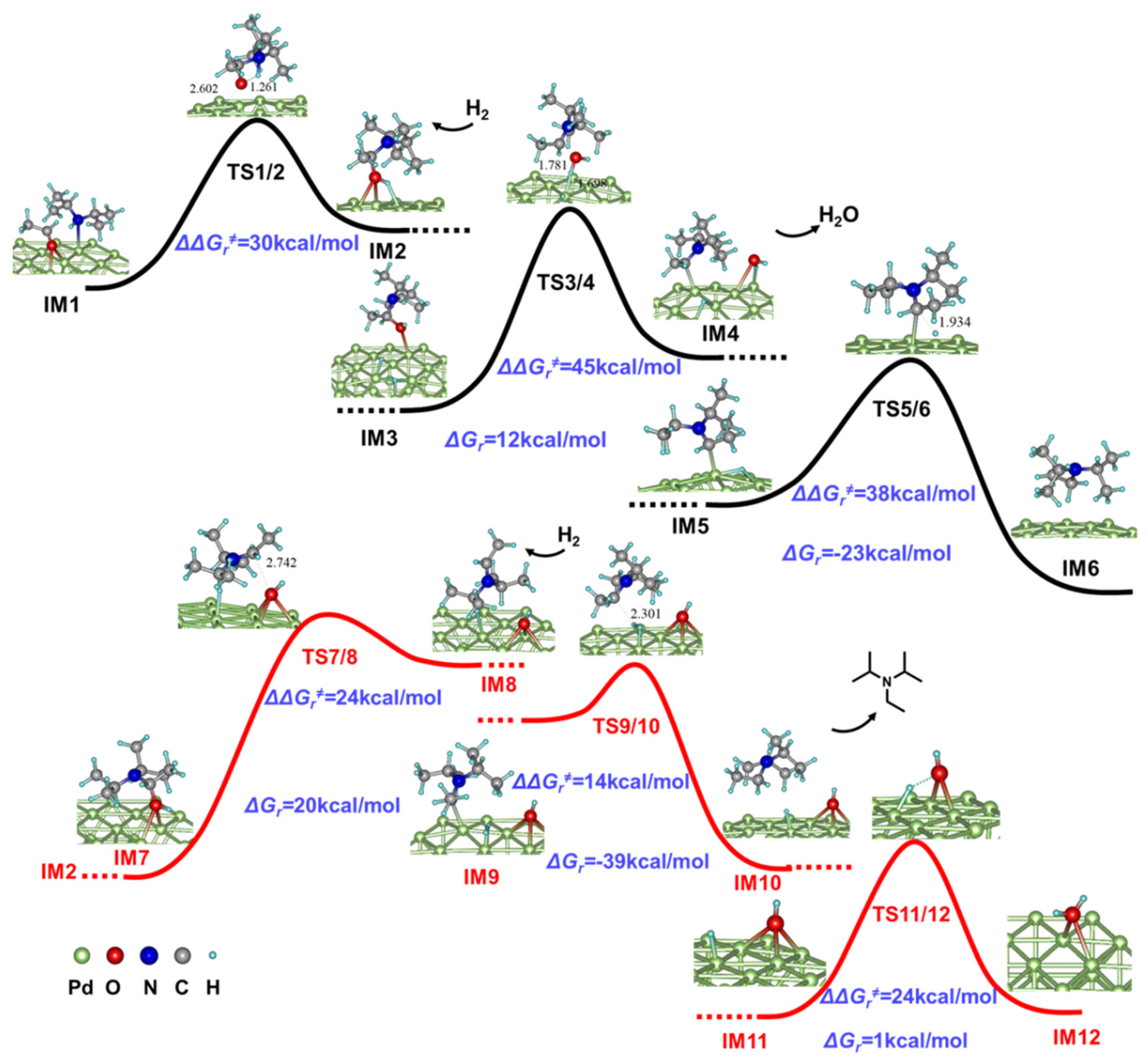 Ijms 23 07621 g006 Ijms 23 07621 g006