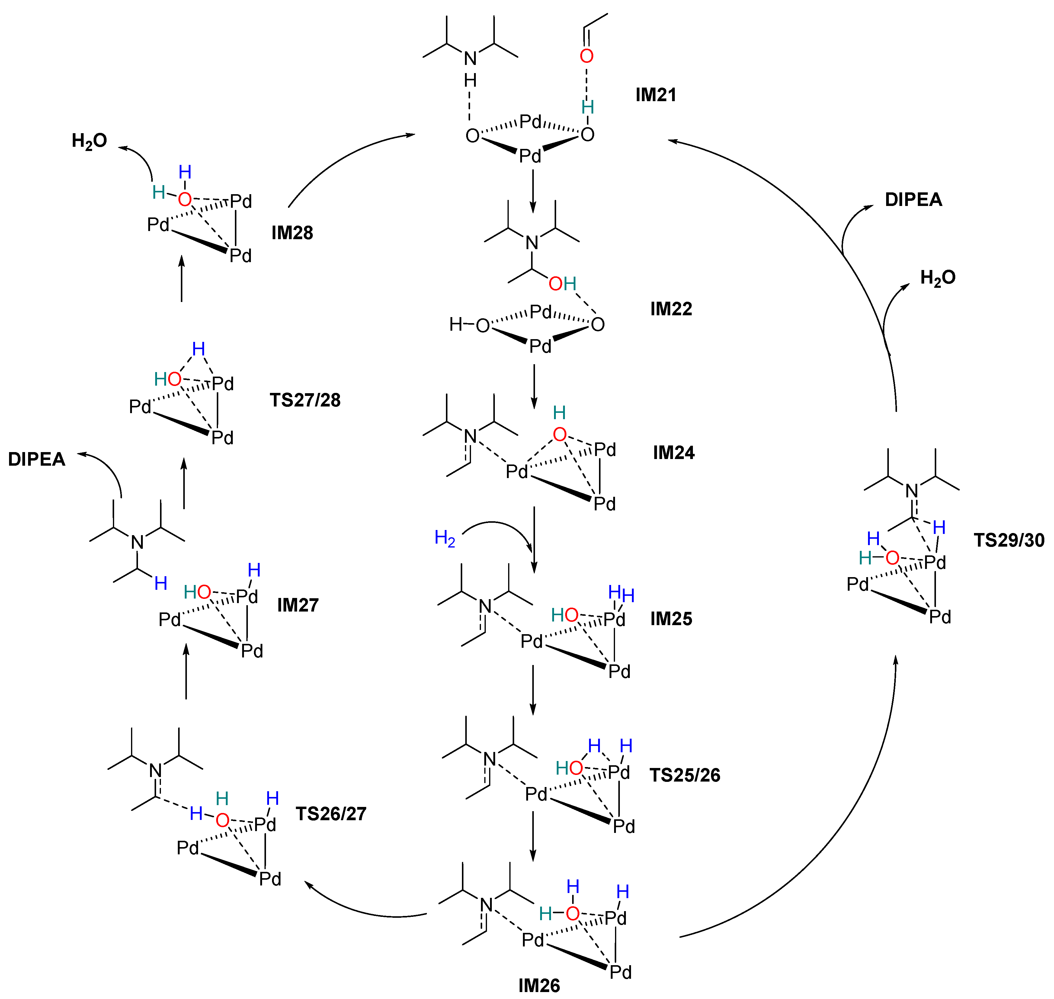 Ijms 23 07621 sch001 Ijms 23 07621 sch001