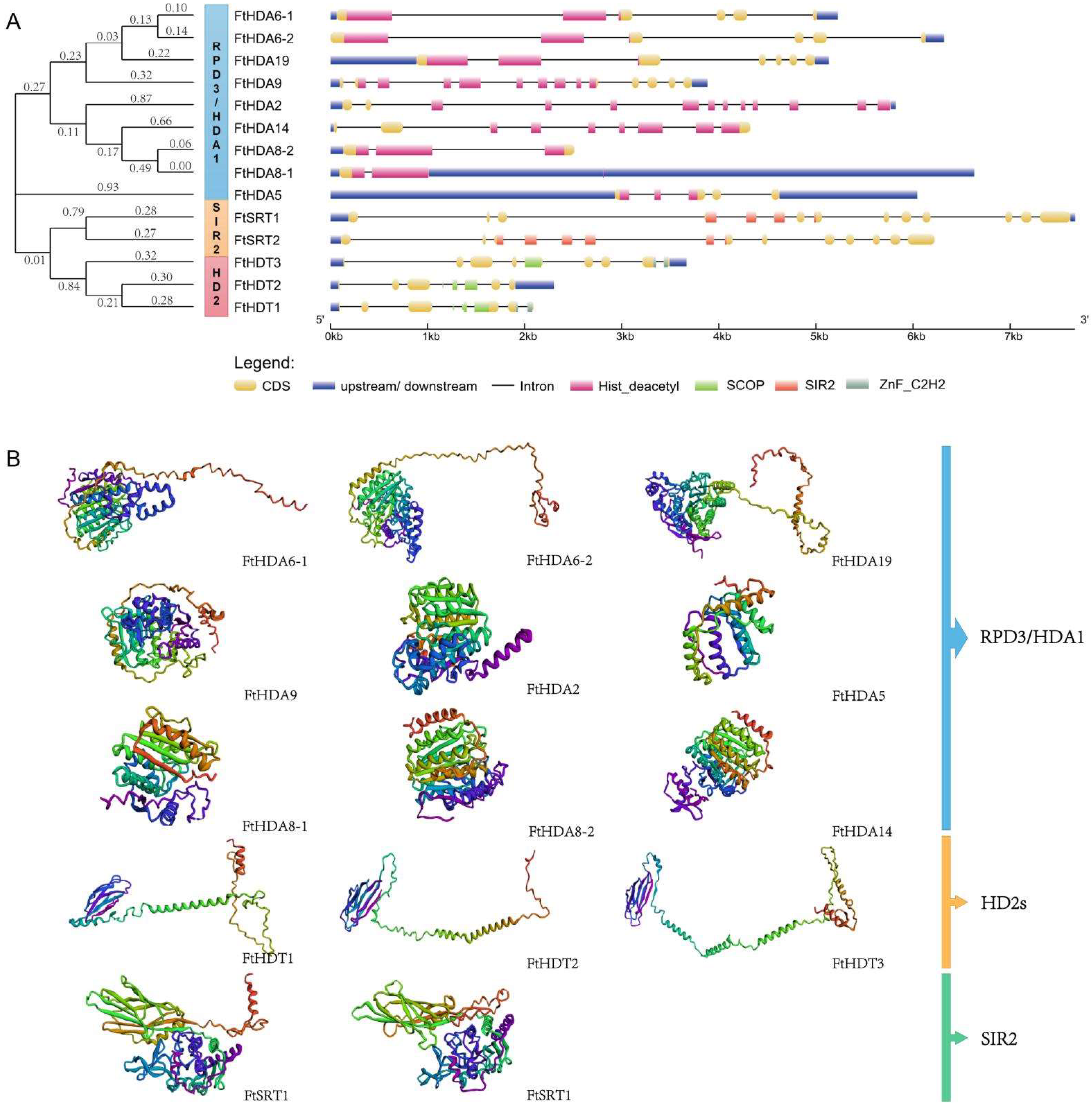 Ijms 23 07622 g001 550