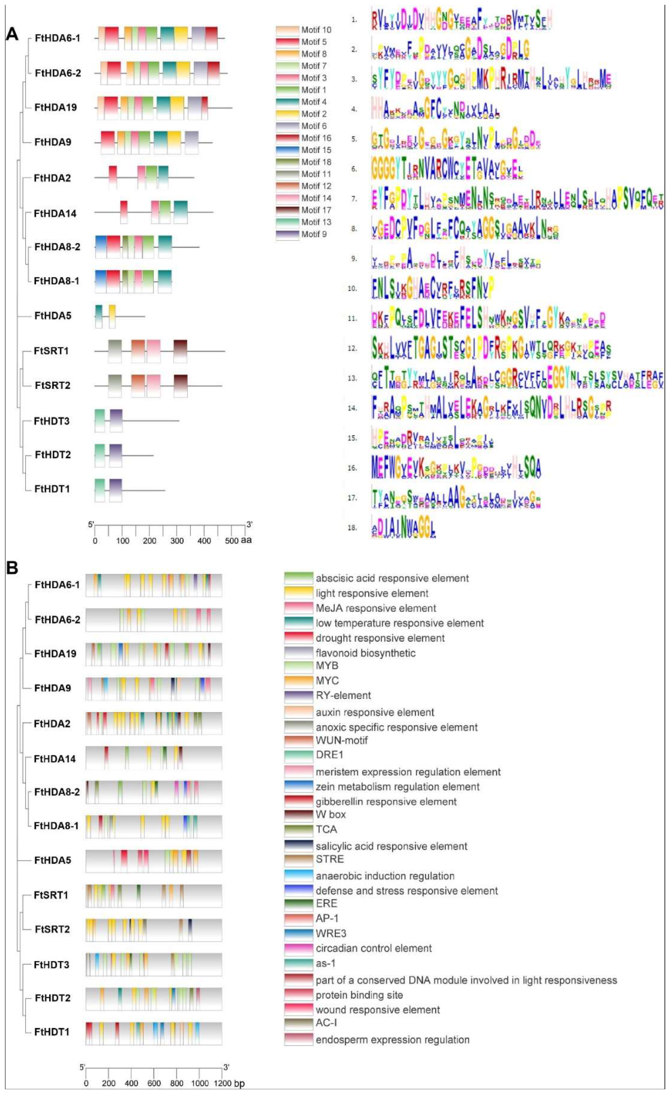 Ijms 23 07622 g002 550