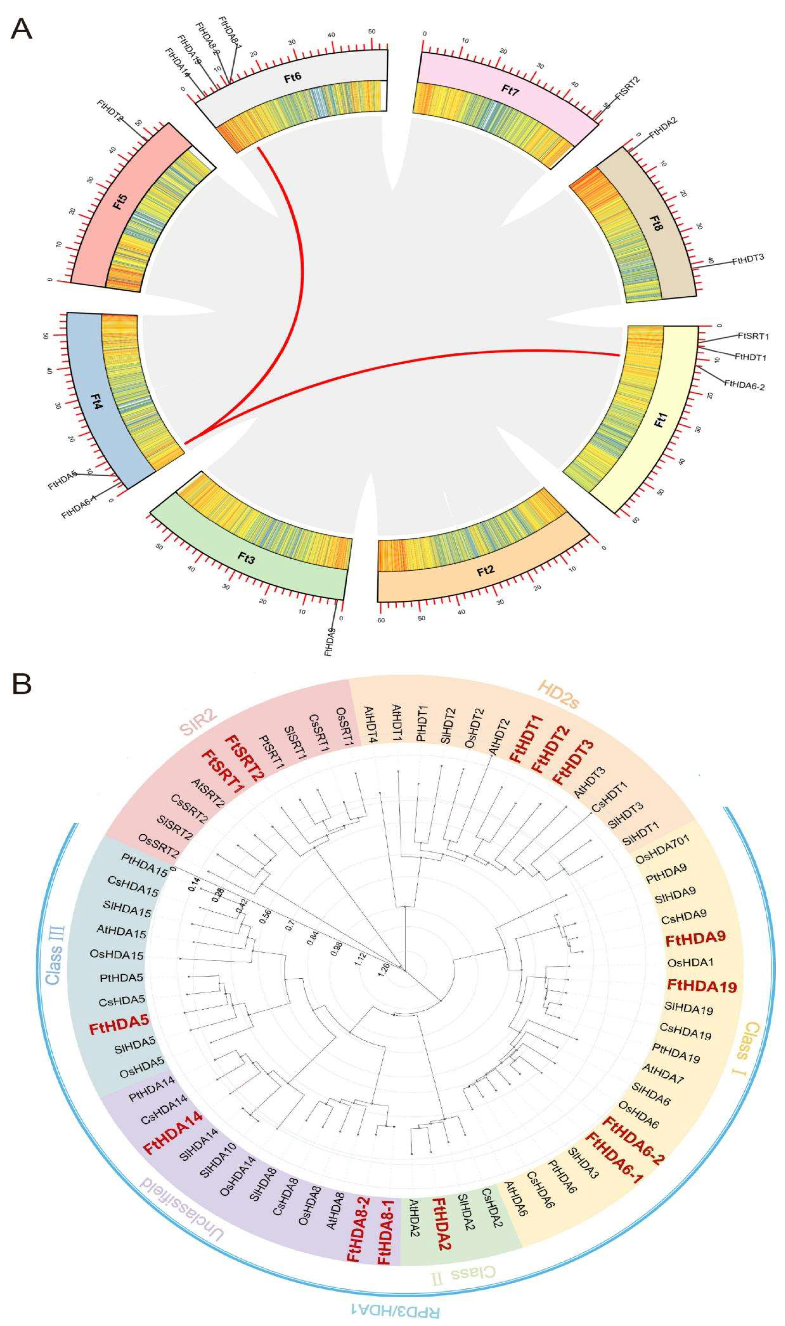 Ijms 23 07622 g003 550