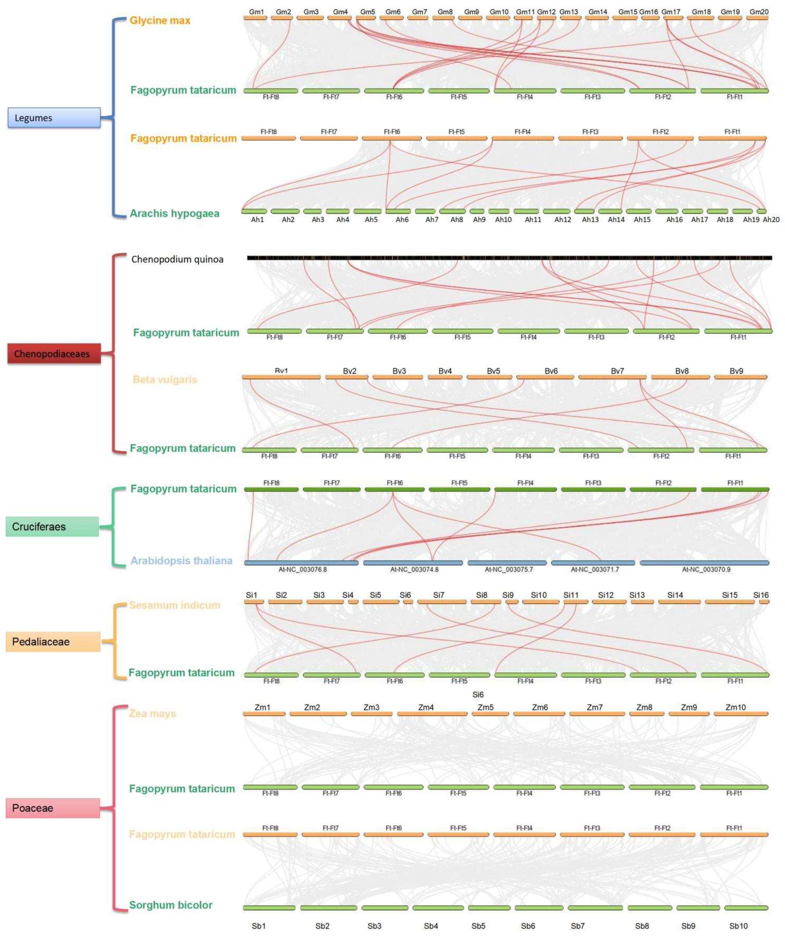 Ijms 23 07622 g004 550