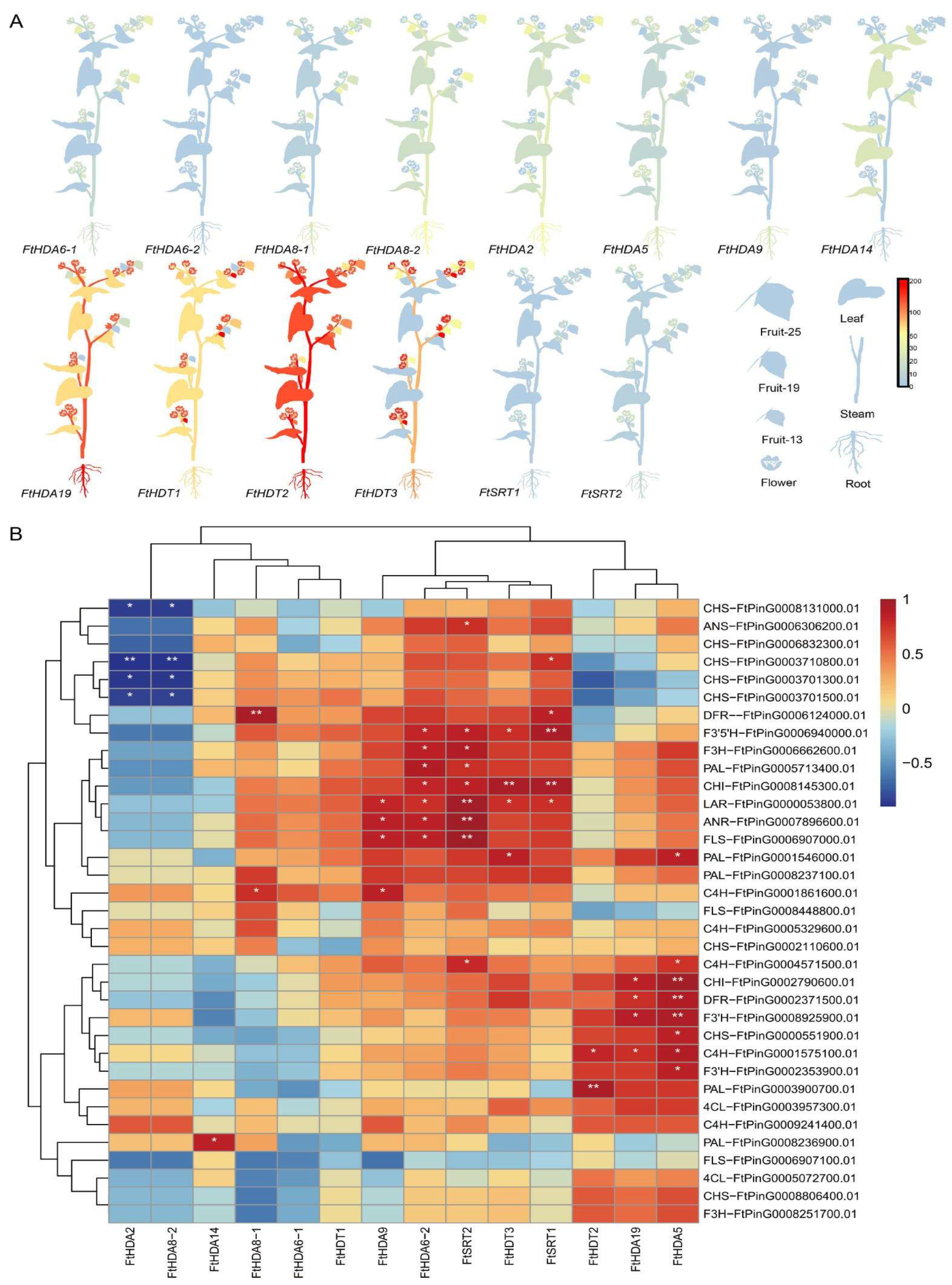 Ijms 23 07622 g005 550