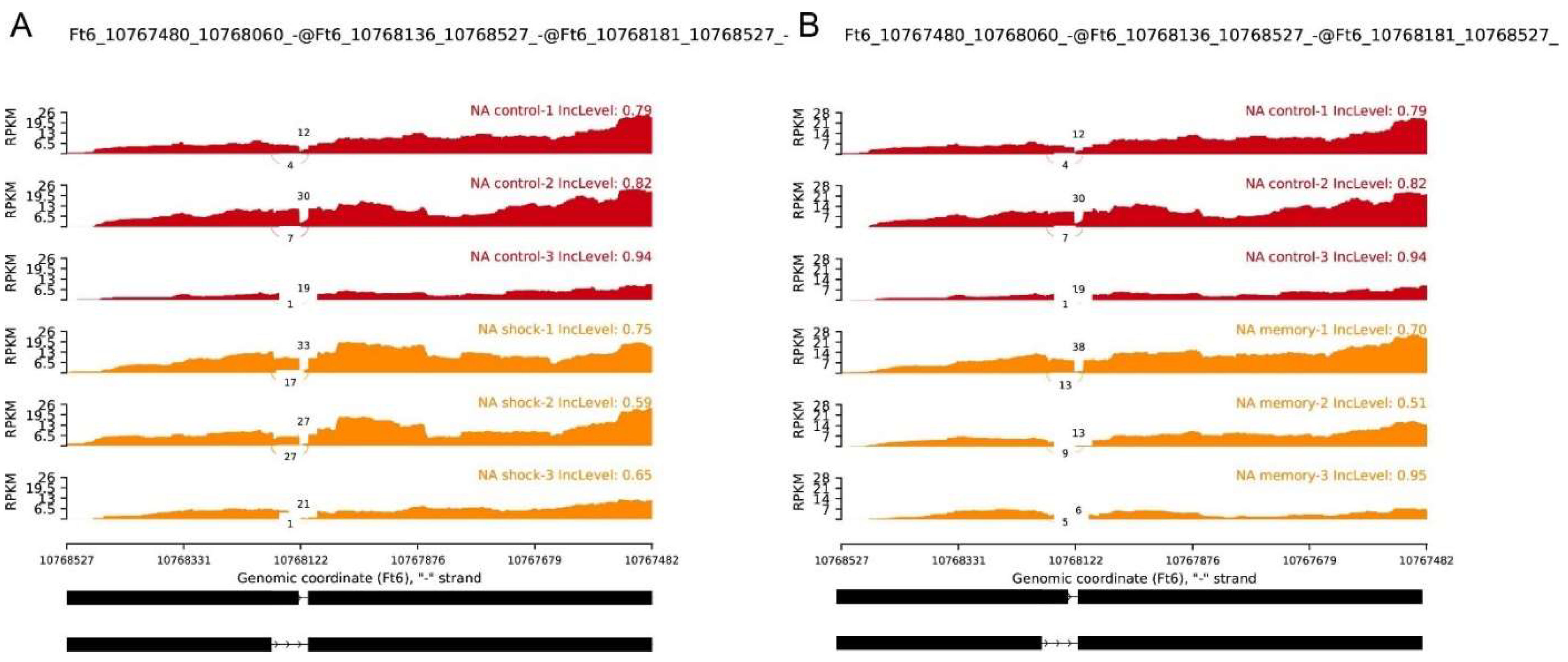 Ijms 23 07622 g006 550