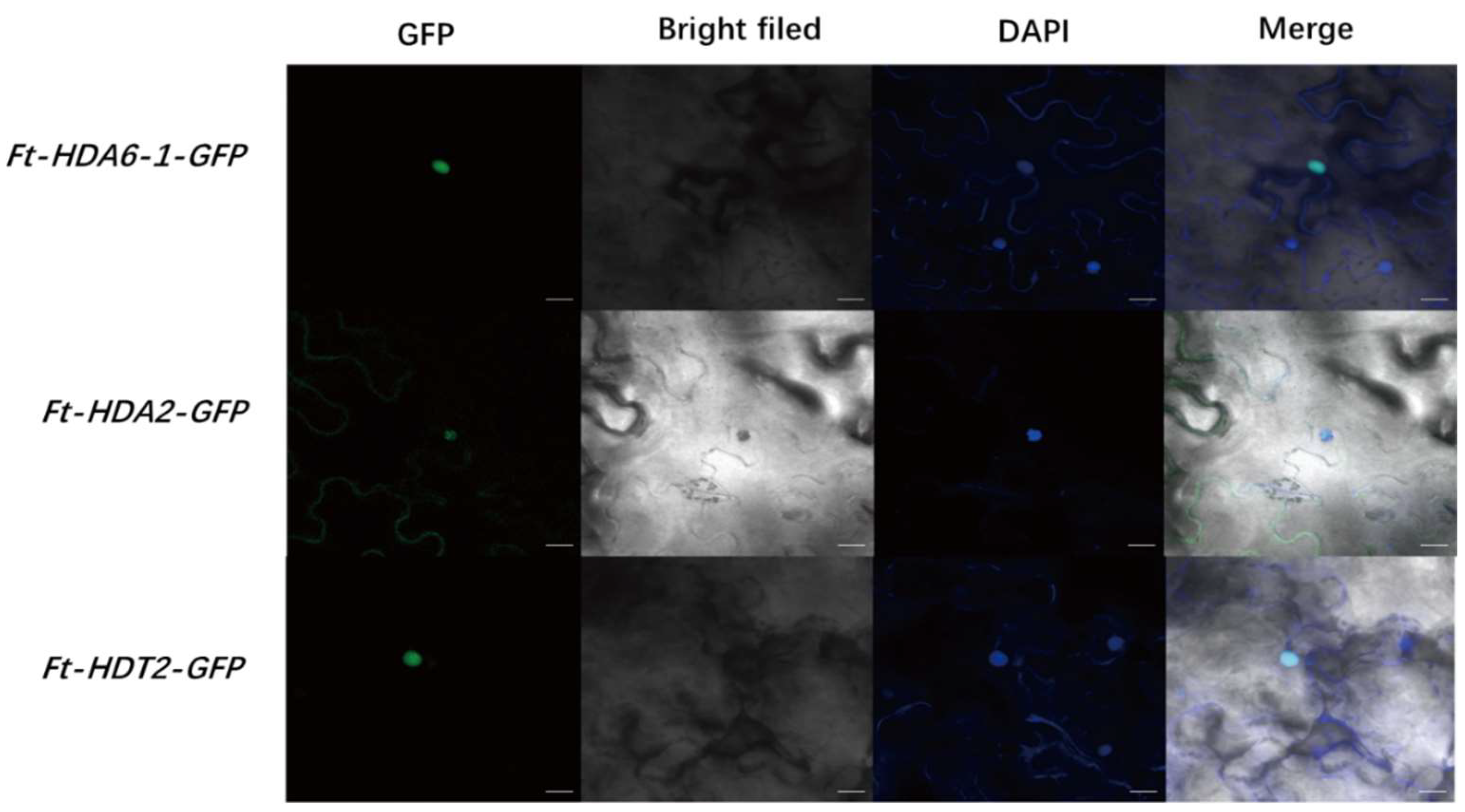 Ijms 23 07622 g007 550