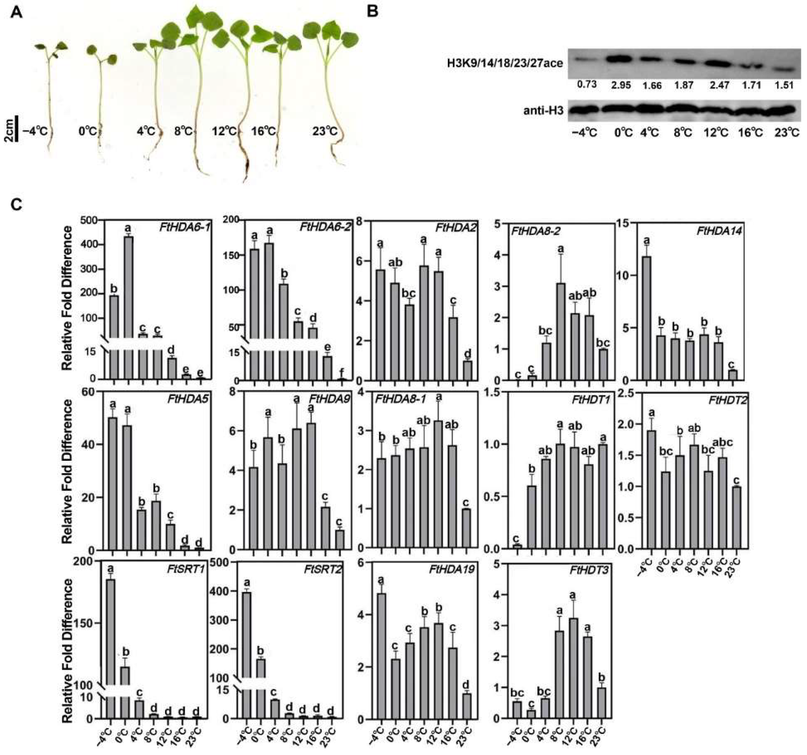Ijms 23 07622 g008 550