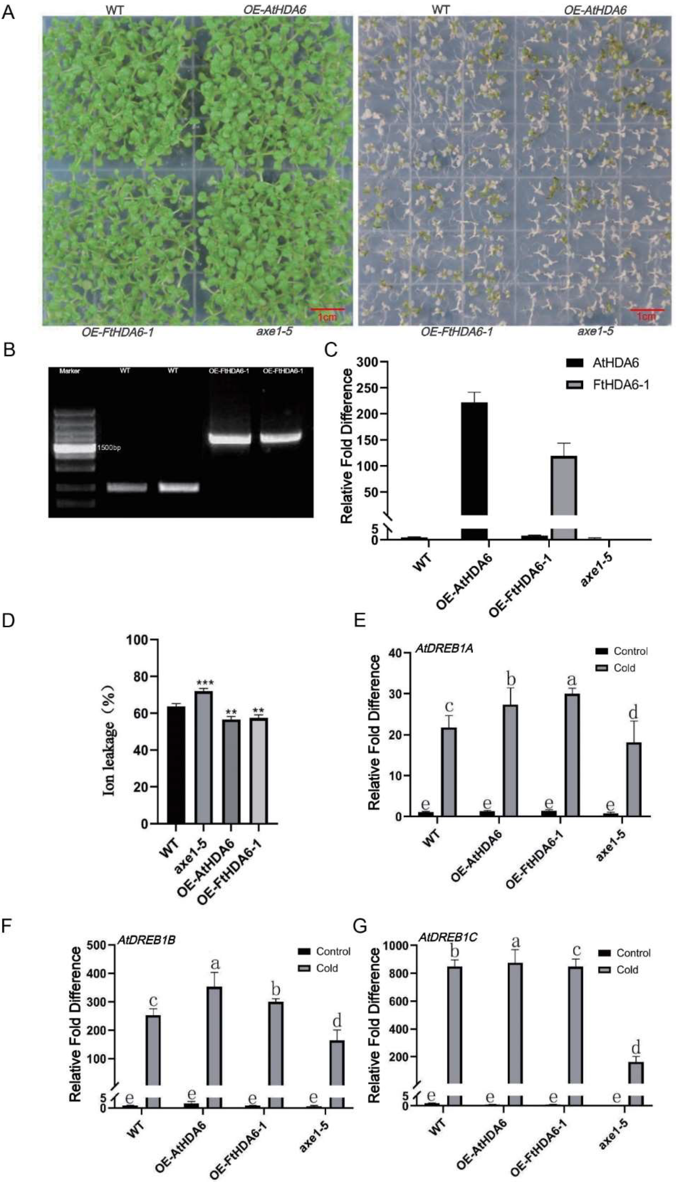 Ijms 23 07622 g009 550