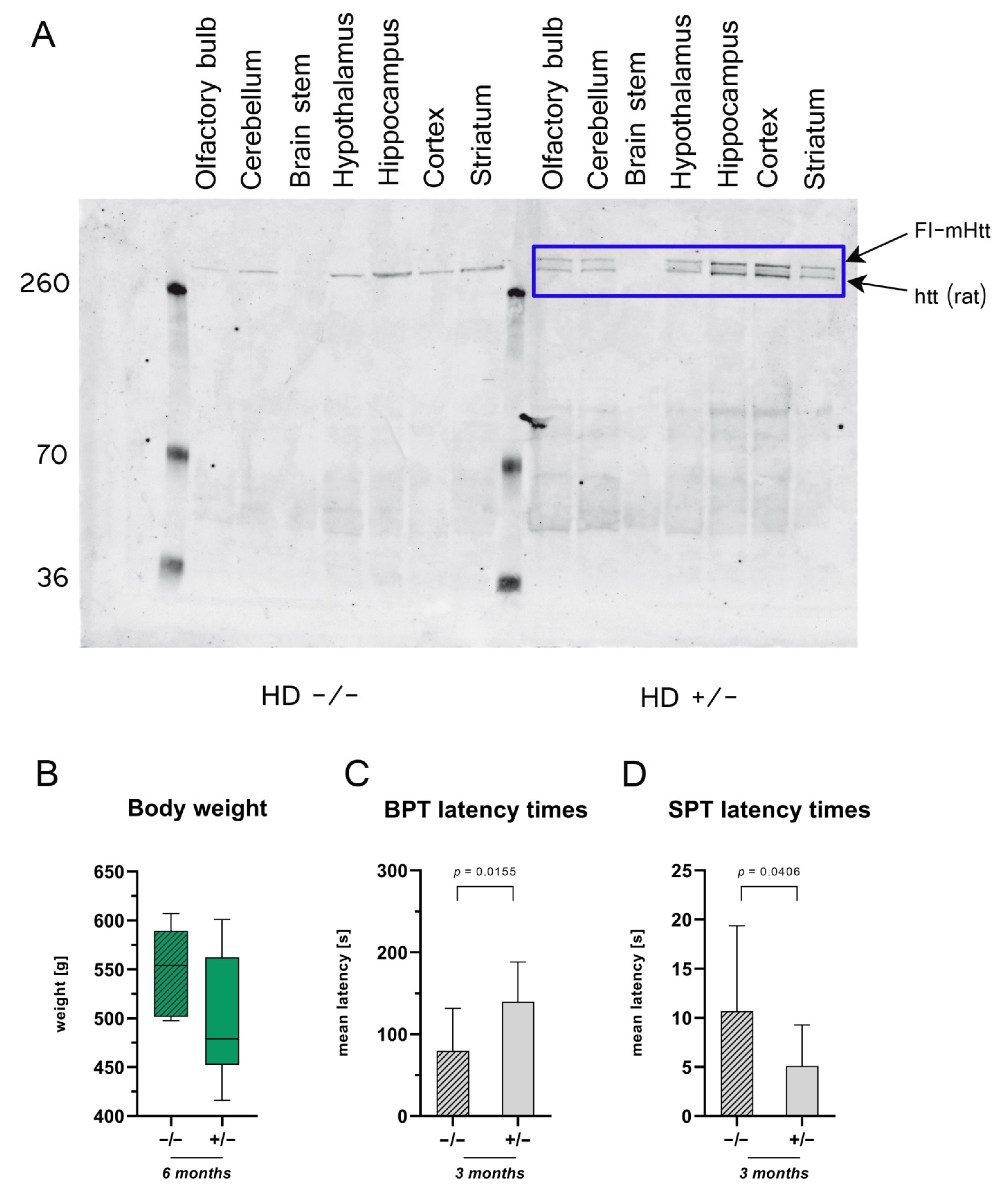 Ijms 23 07625 g001 550