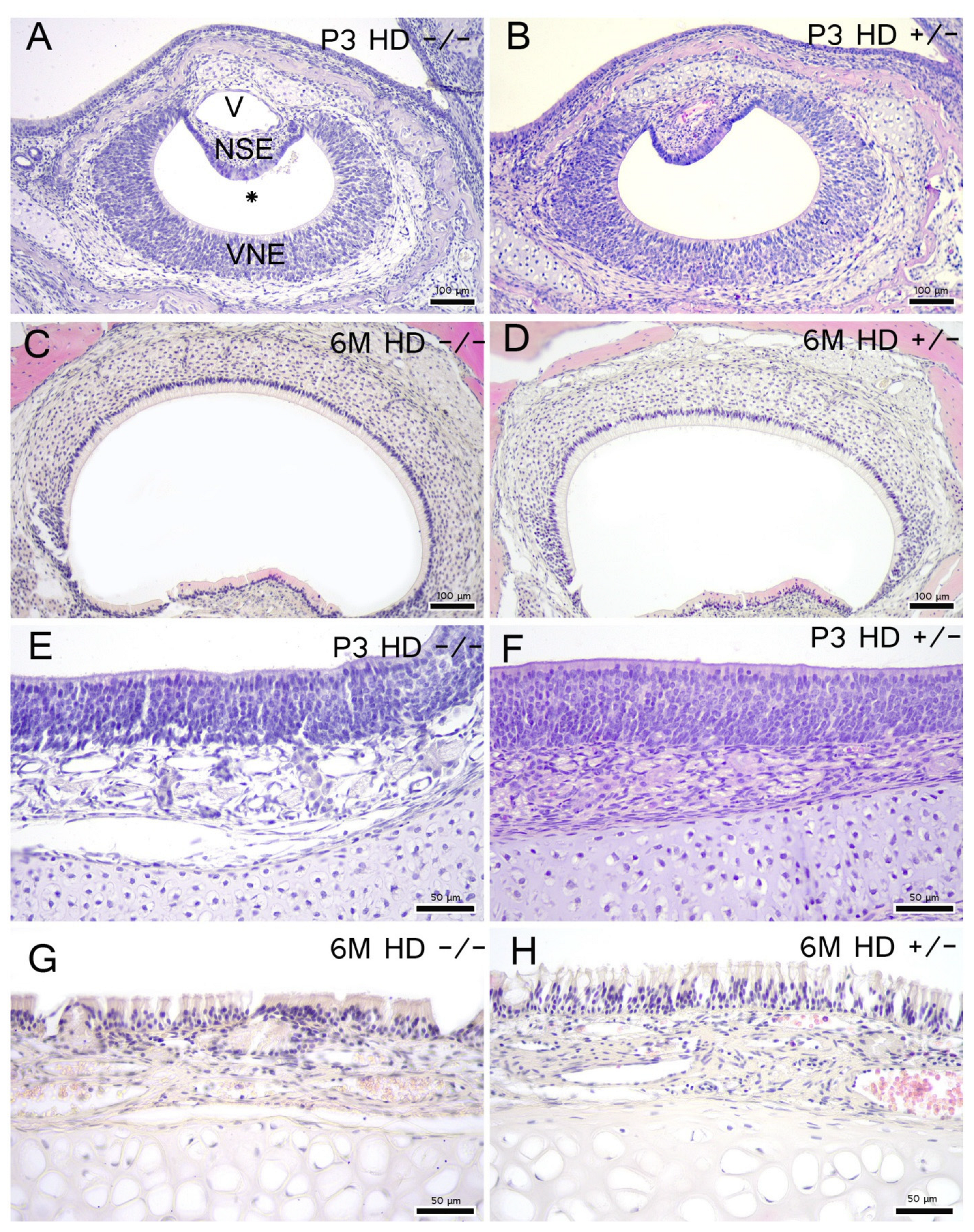 Ijms 23 07625 g002 550