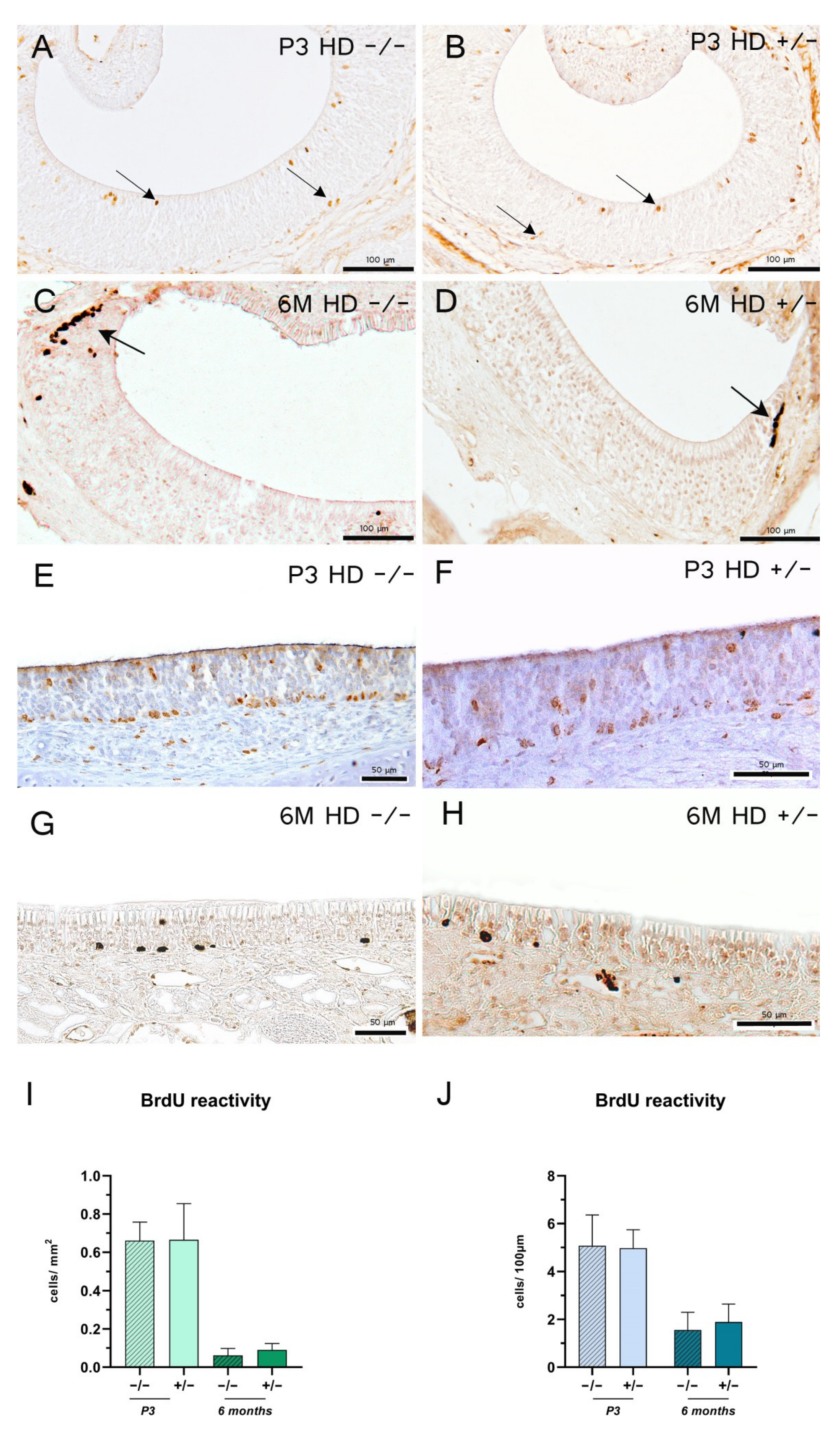 Ijms 23 07625 g003 550
