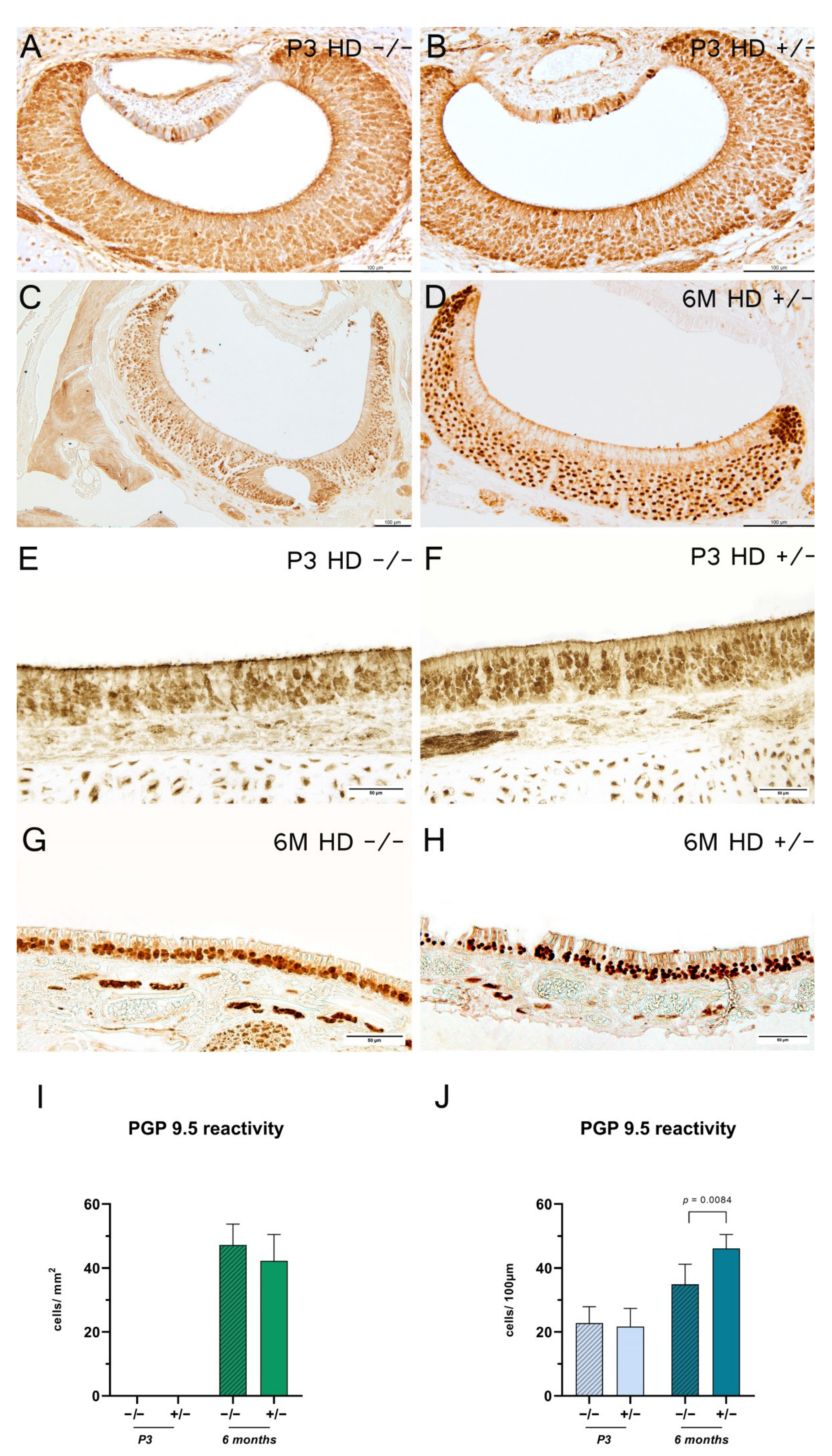 Ijms 23 07625 g004 550