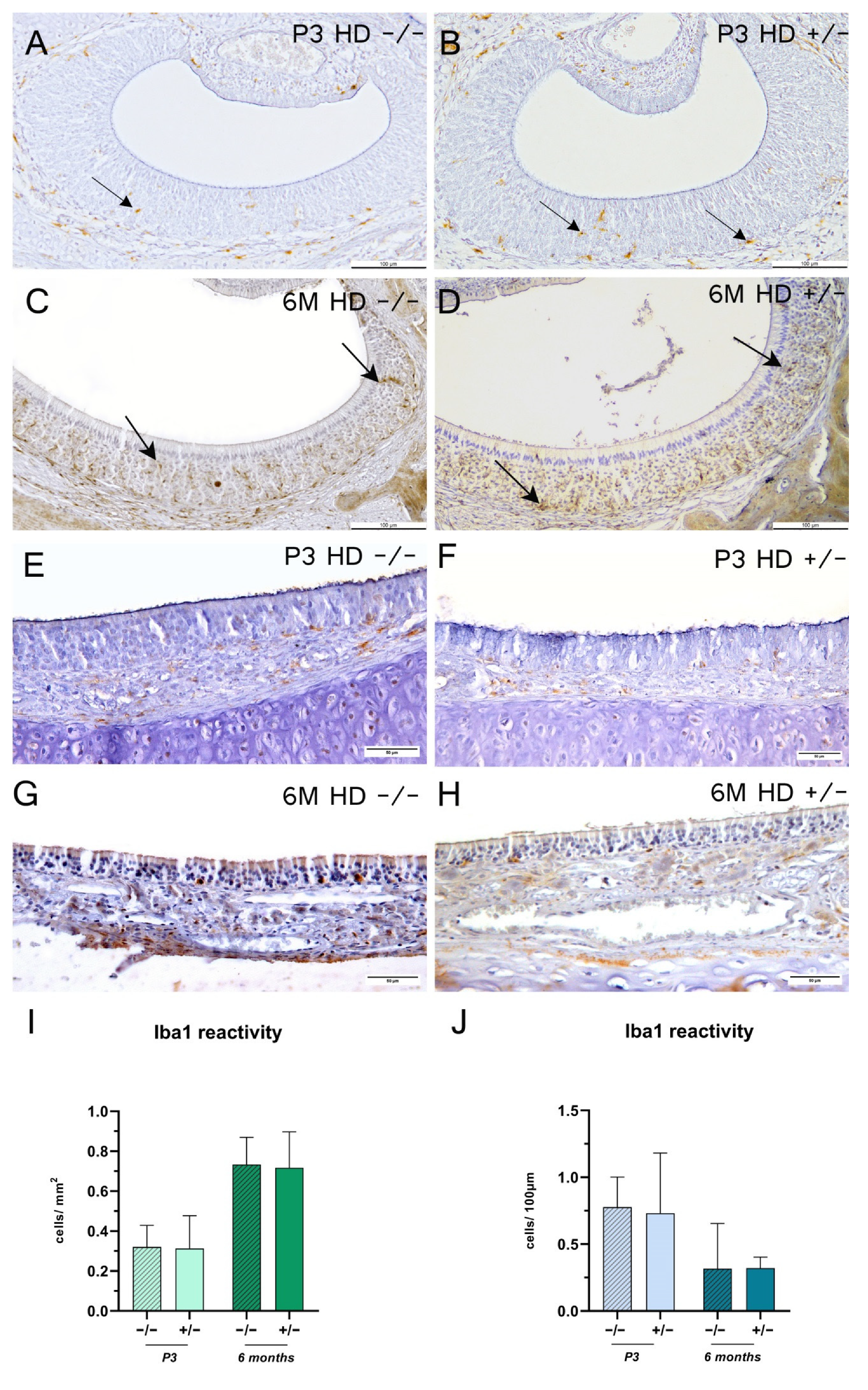 Ijms 23 07625 g006 550