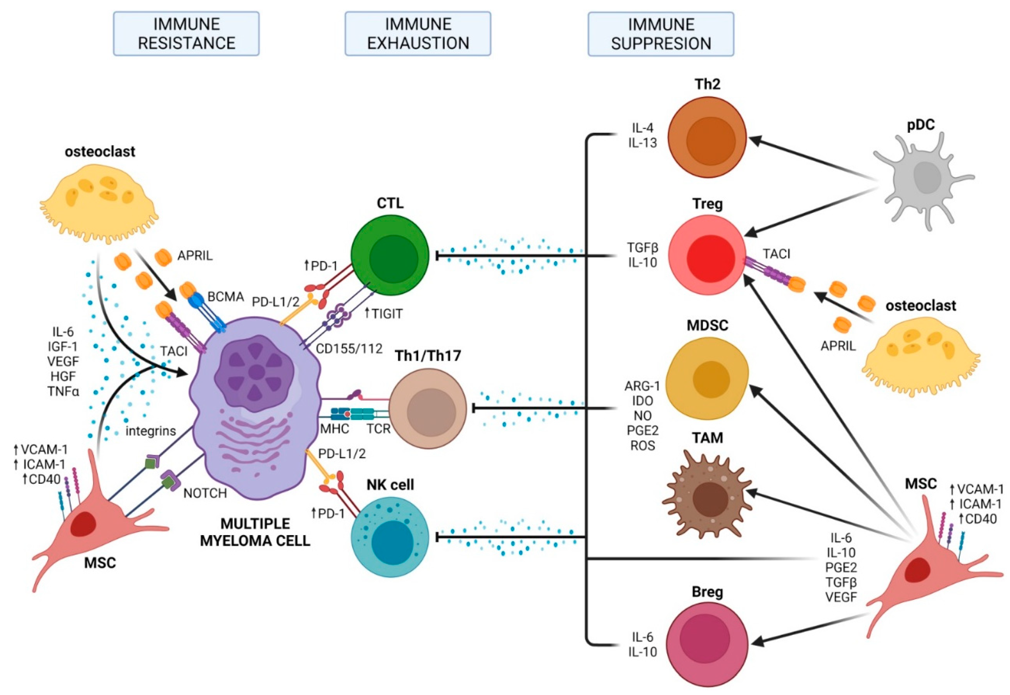 Ijms 23 07627 g002 550