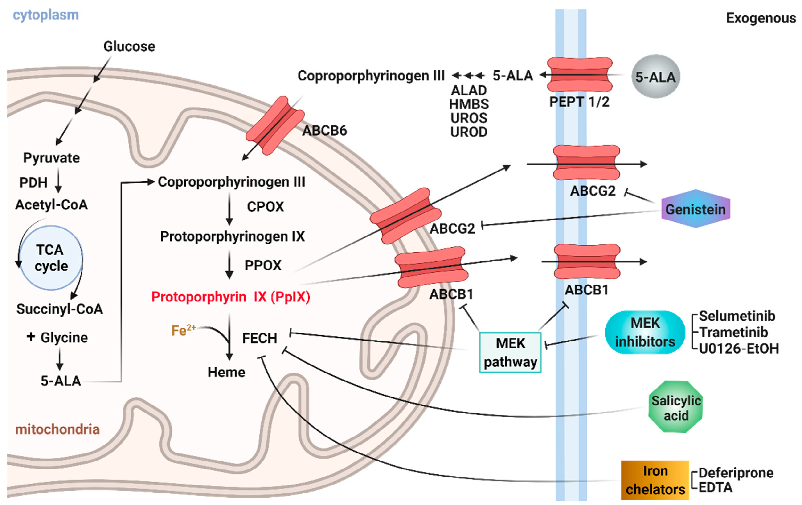 Ijms 23 07631 g001 550