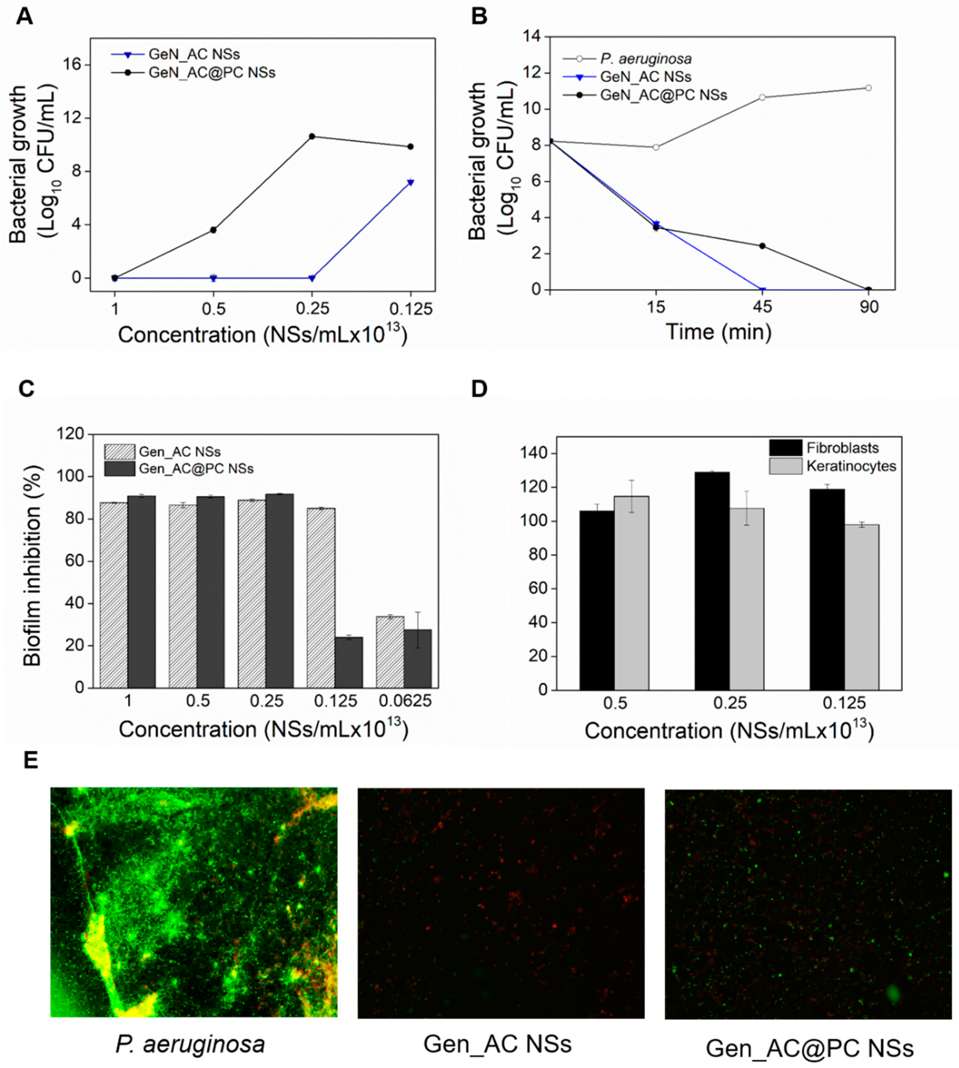 Ijms Free Full Text Nano Formulation Endows Quorum Quenching Enzyme Antibiotic Hybrids With Improved Antibacterial And Antibiofilm Activities Against Pseudomonas Aeruginosa Html