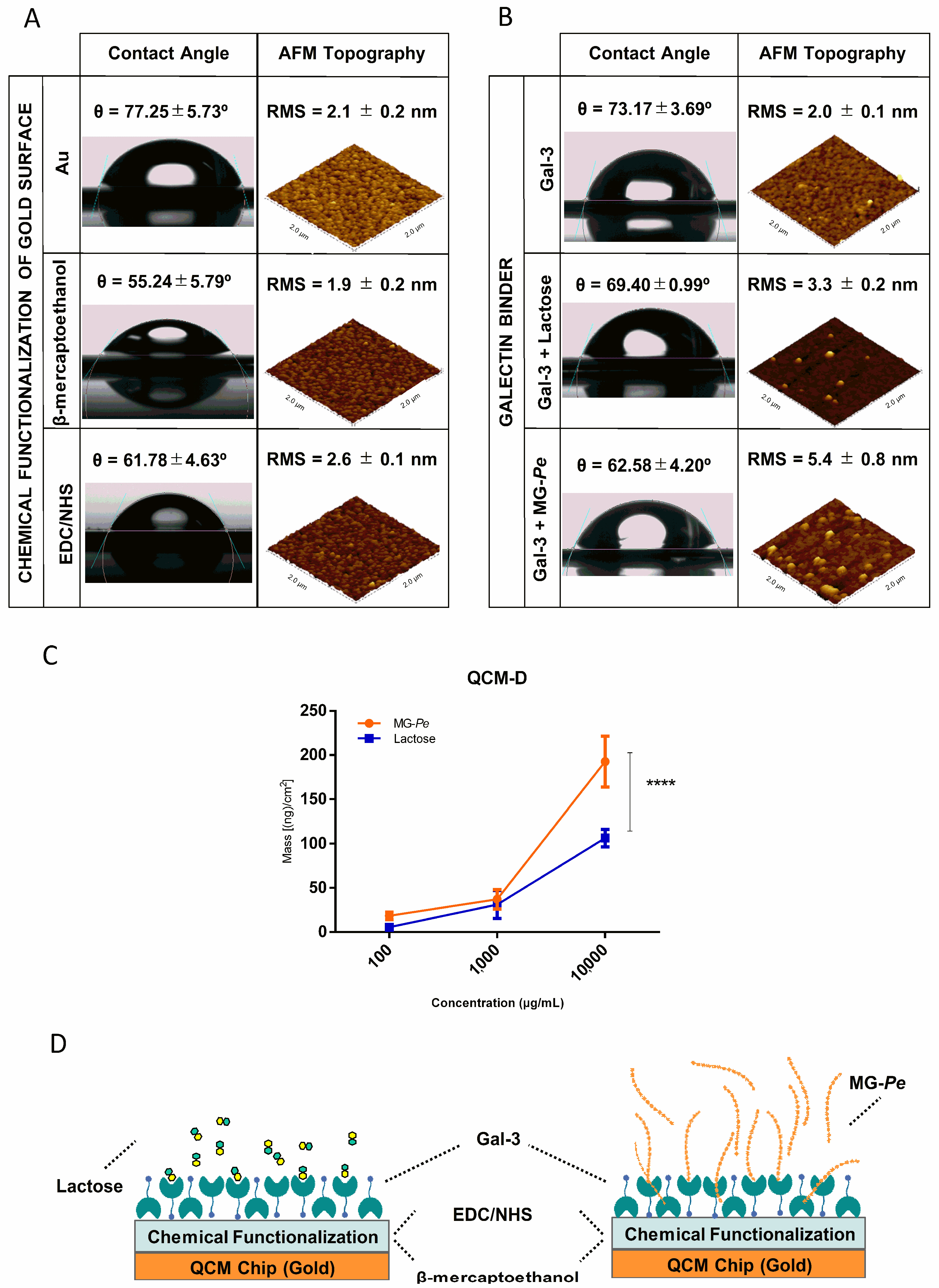 Ijms 23 07635 g003 550