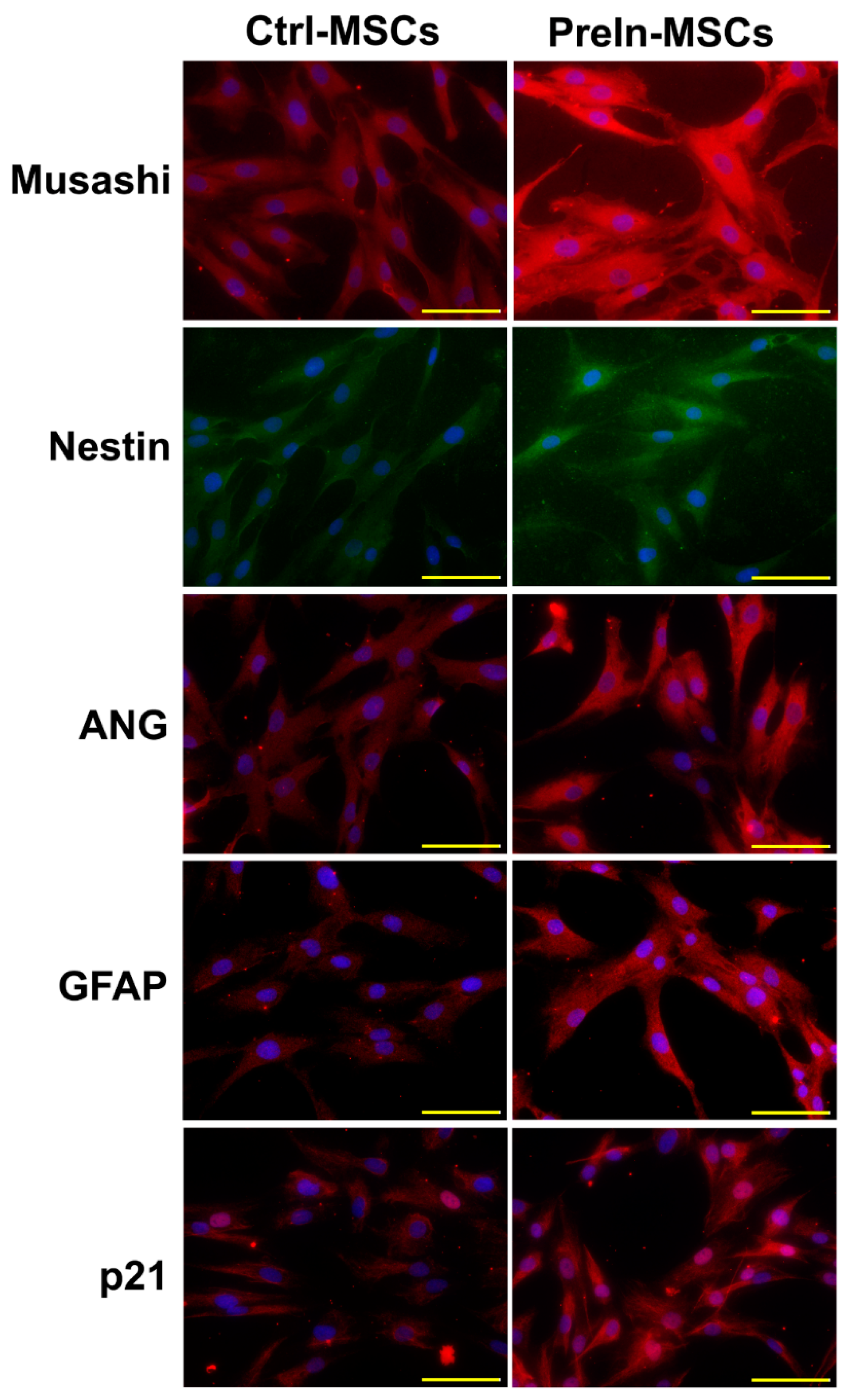 Ijms 23 07638 g002 550