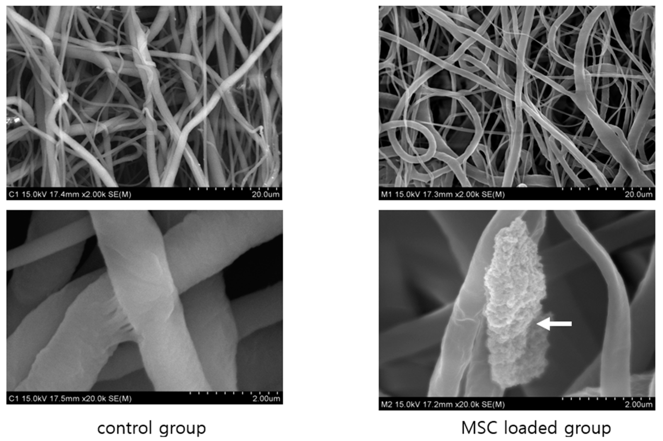 Ijms 23 07638 g003 550