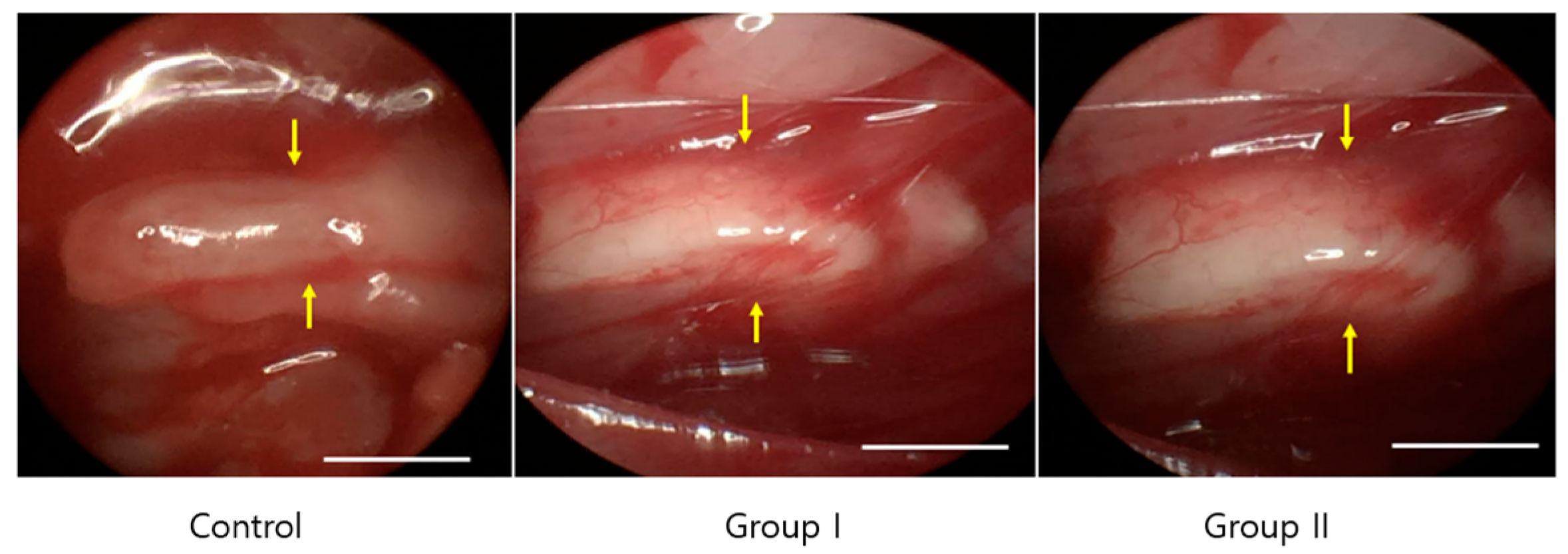 Ijms 23 07638 g005 550