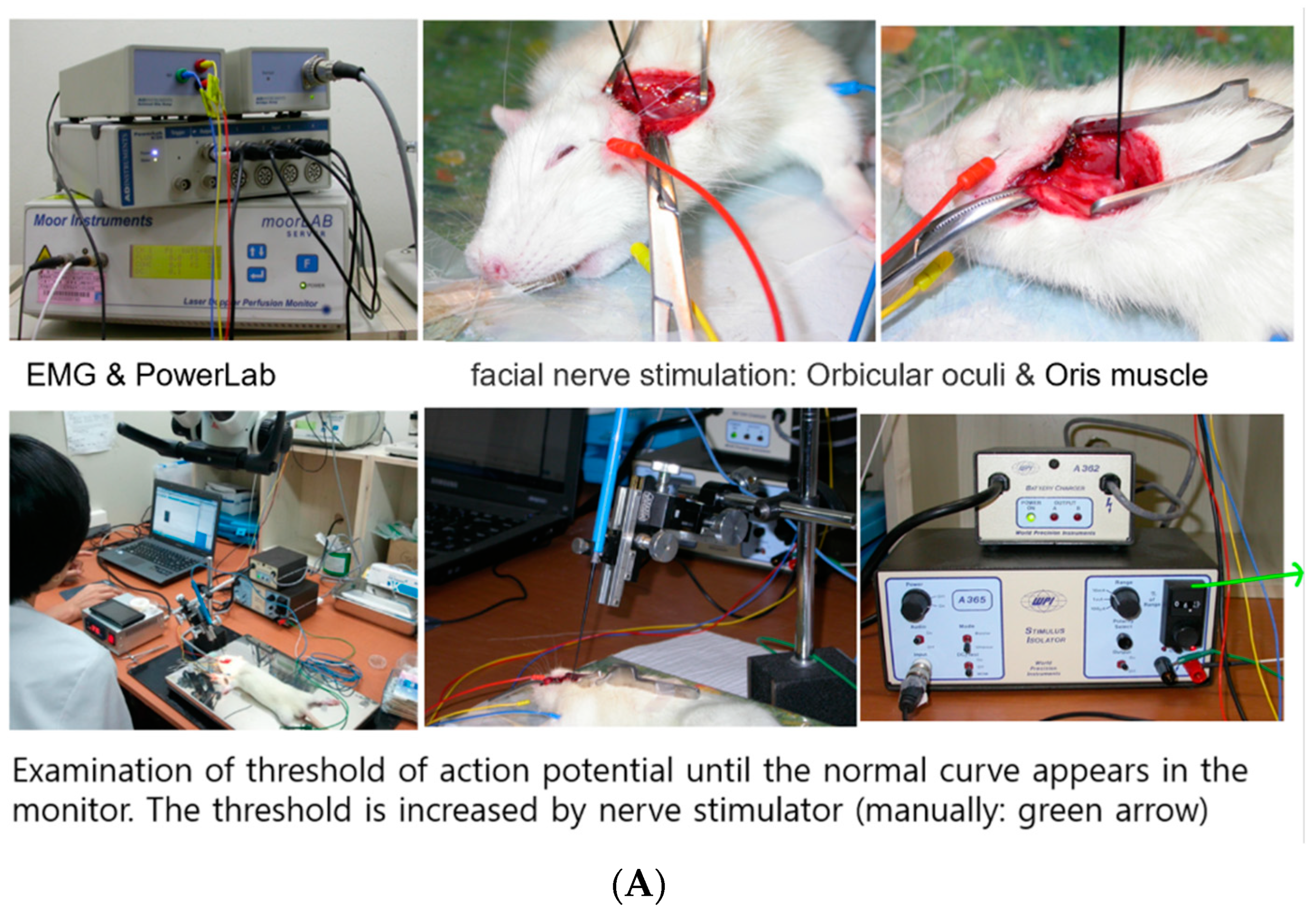 Ijms 23 07638 g006a 550