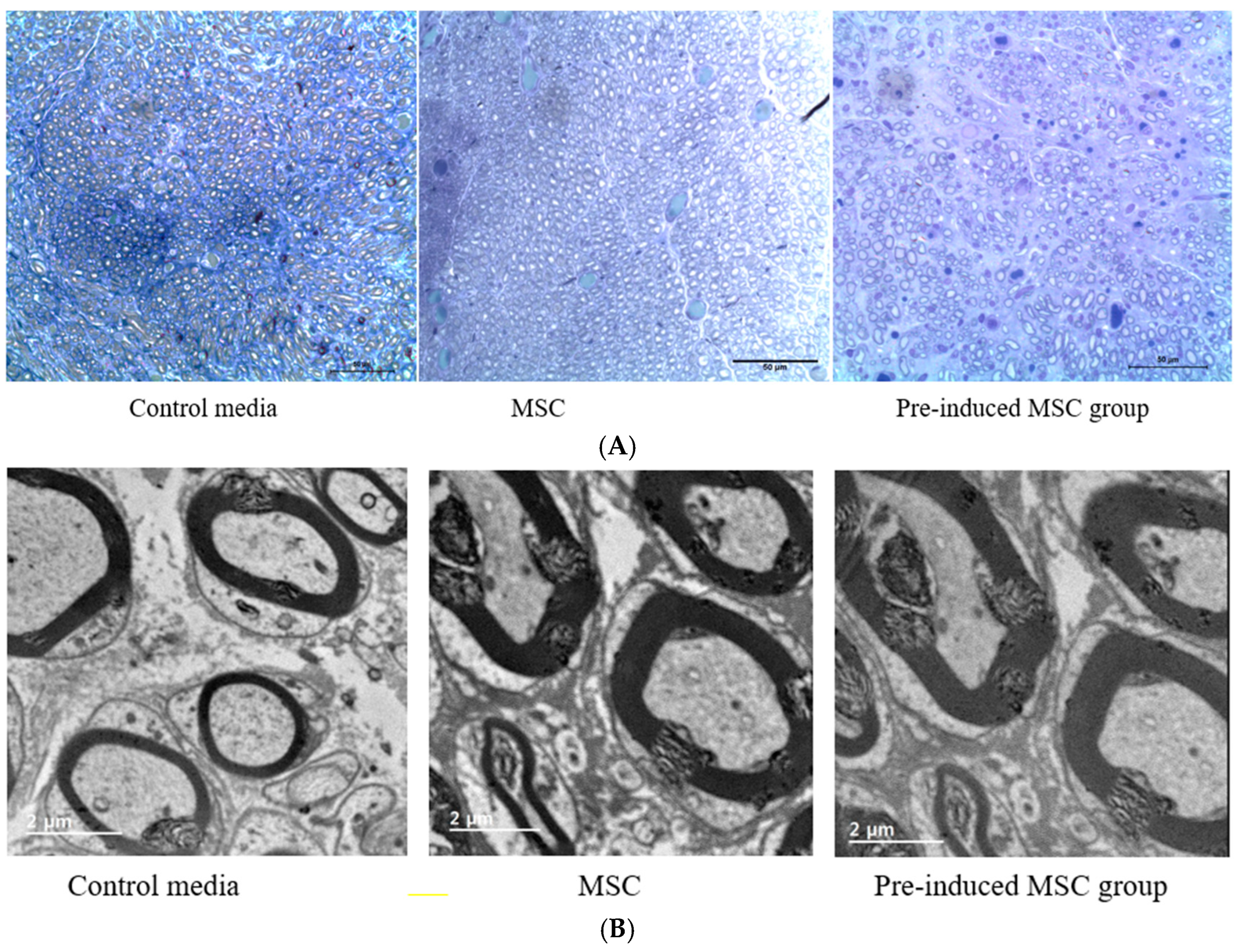 Ijms 23 07638 g008a 550