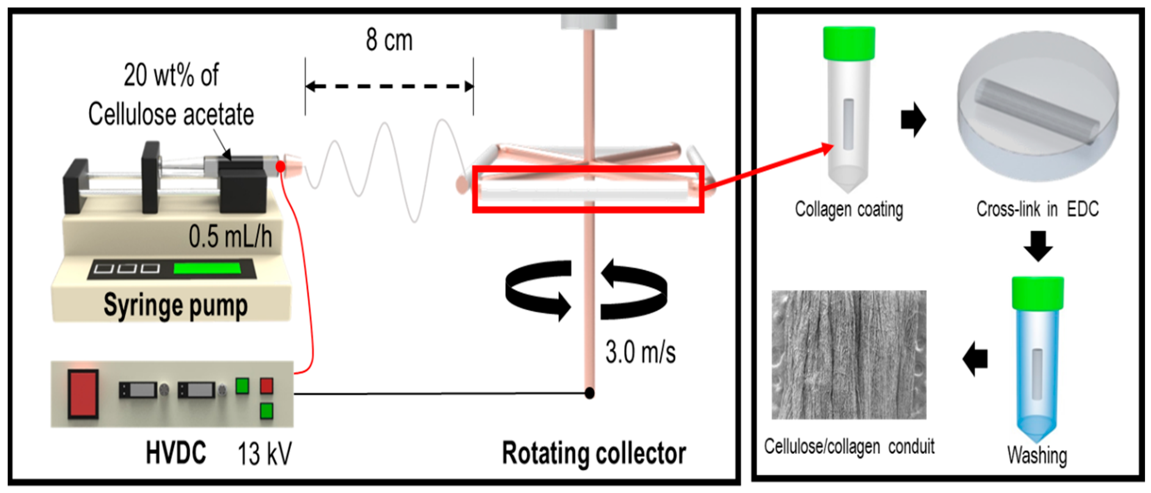 Ijms 23 07638 g009 550