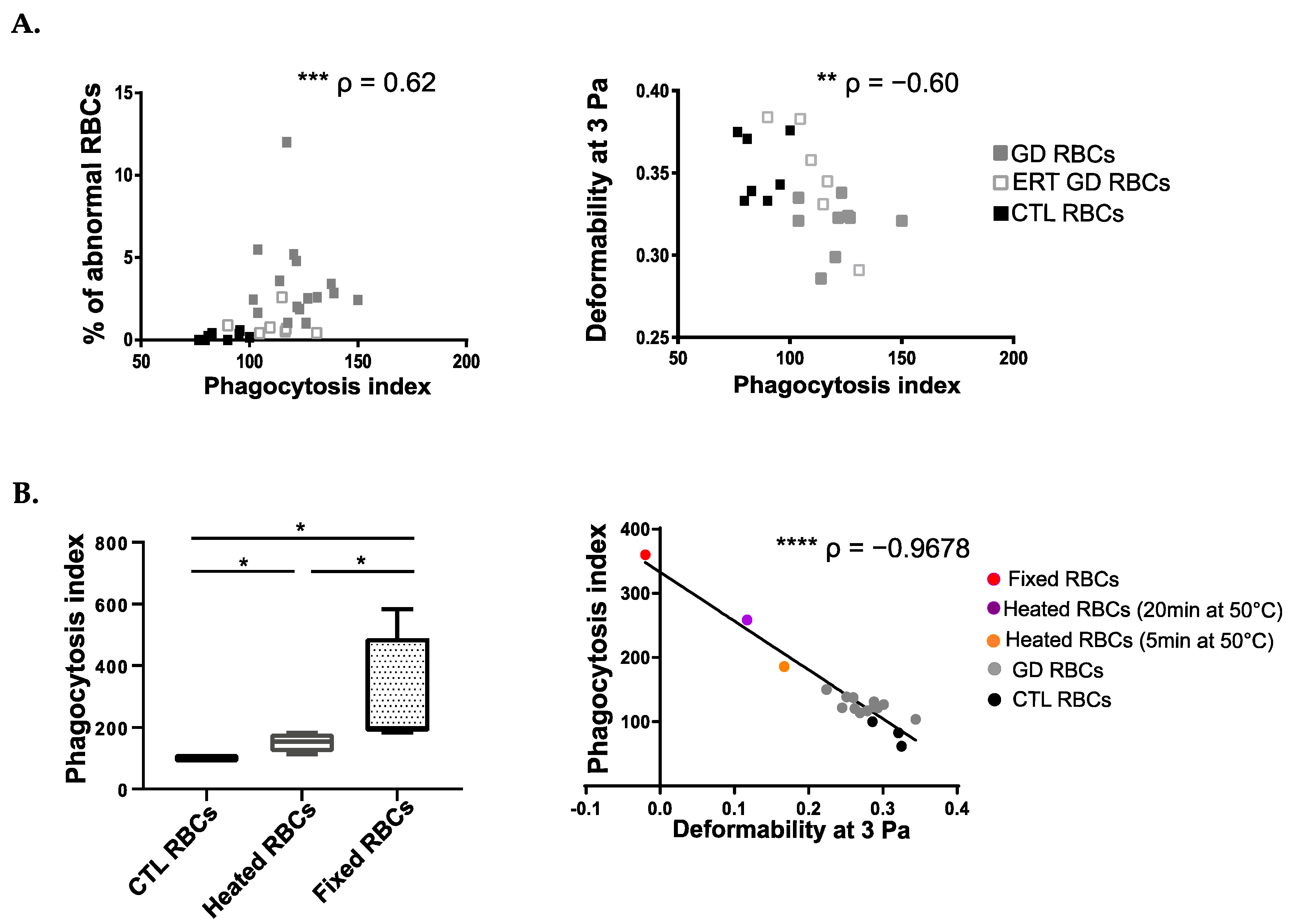 Ijms 23 07640 g002 Ijms 23 07640 g002
