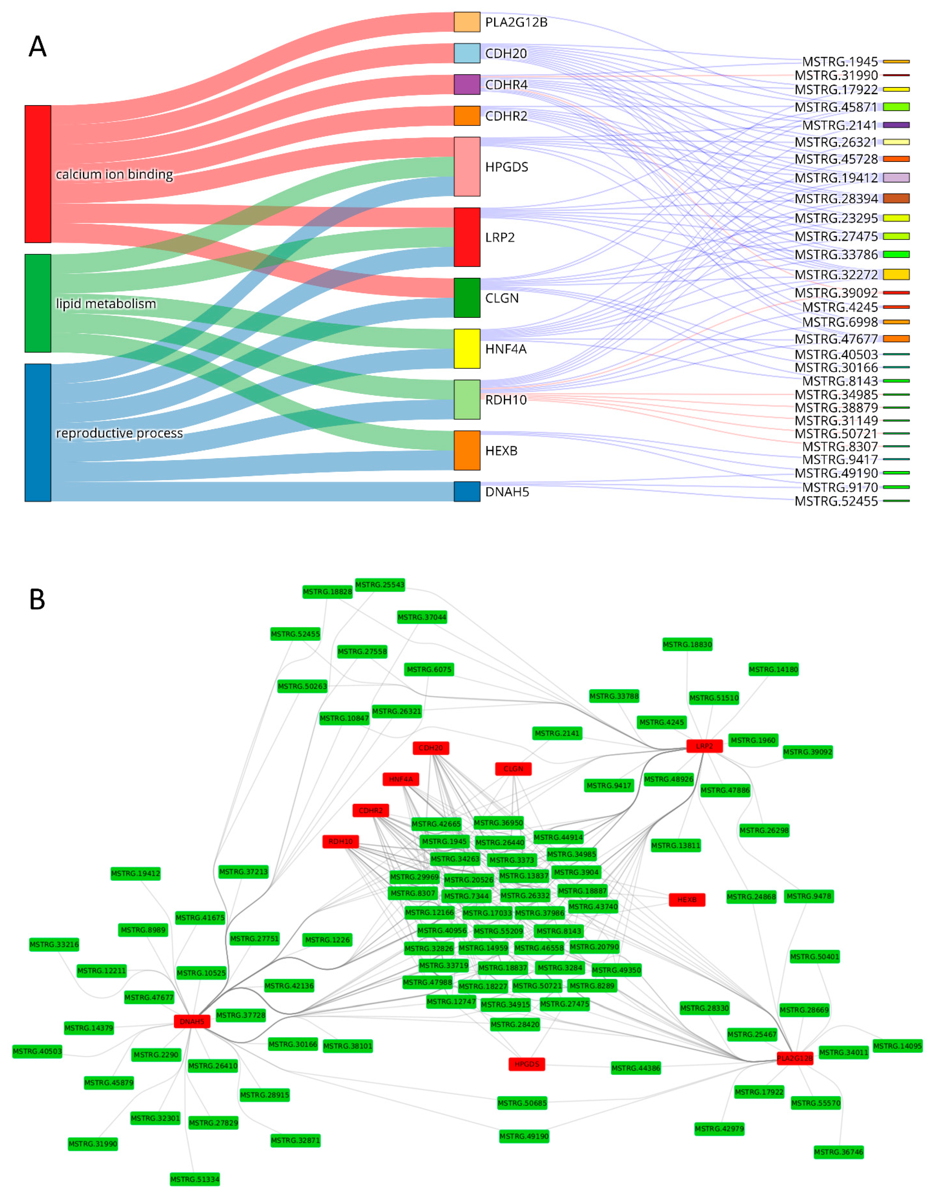 Ijms 23 07642 g006 550