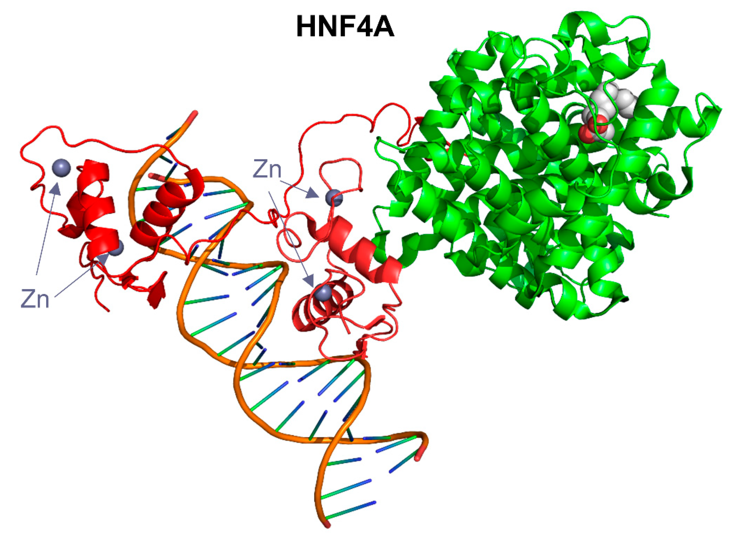 Ijms 23 07642 g009 550