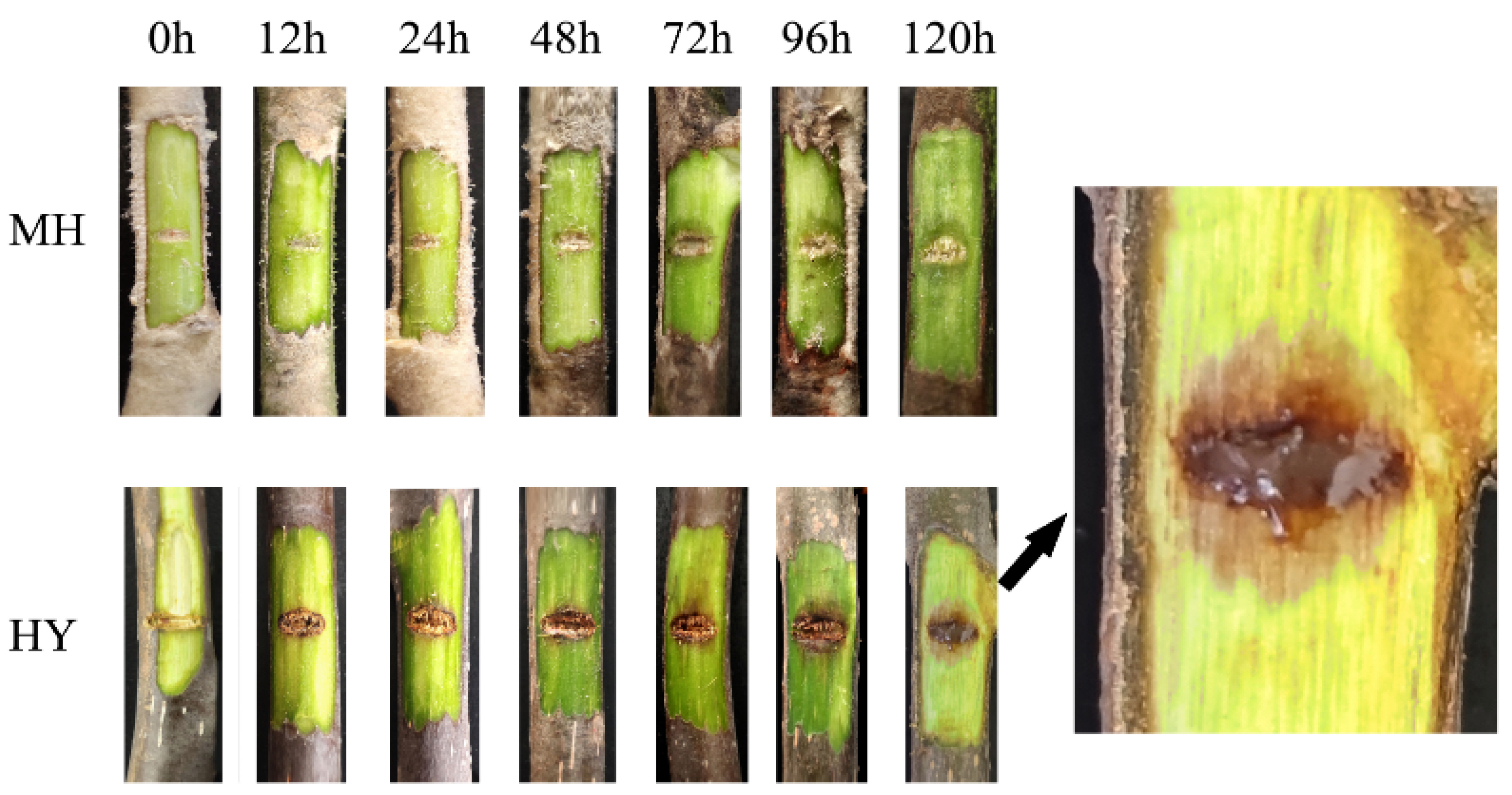 Ijms 23 07643 g001 550