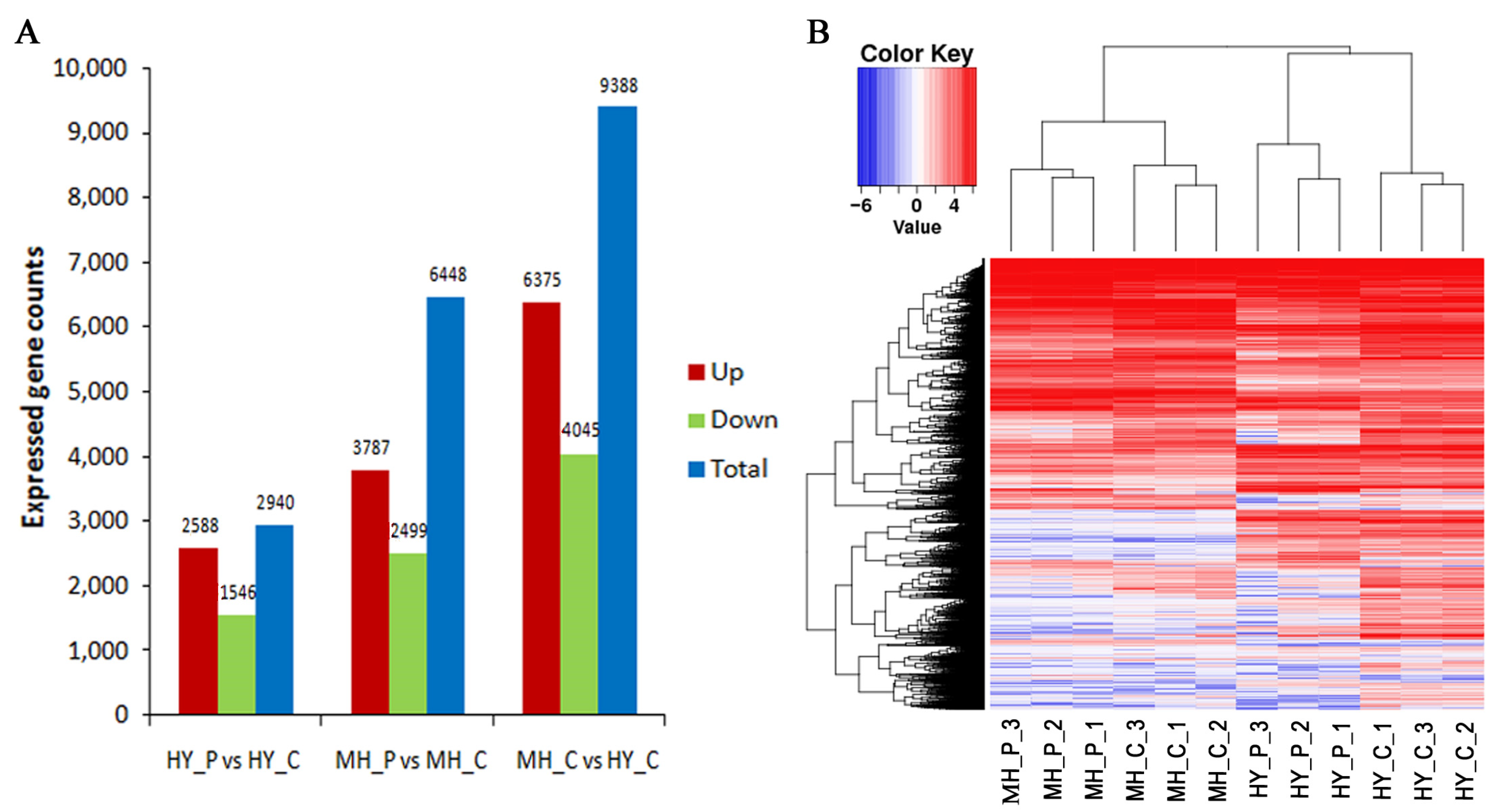 Ijms 23 07643 g002 550