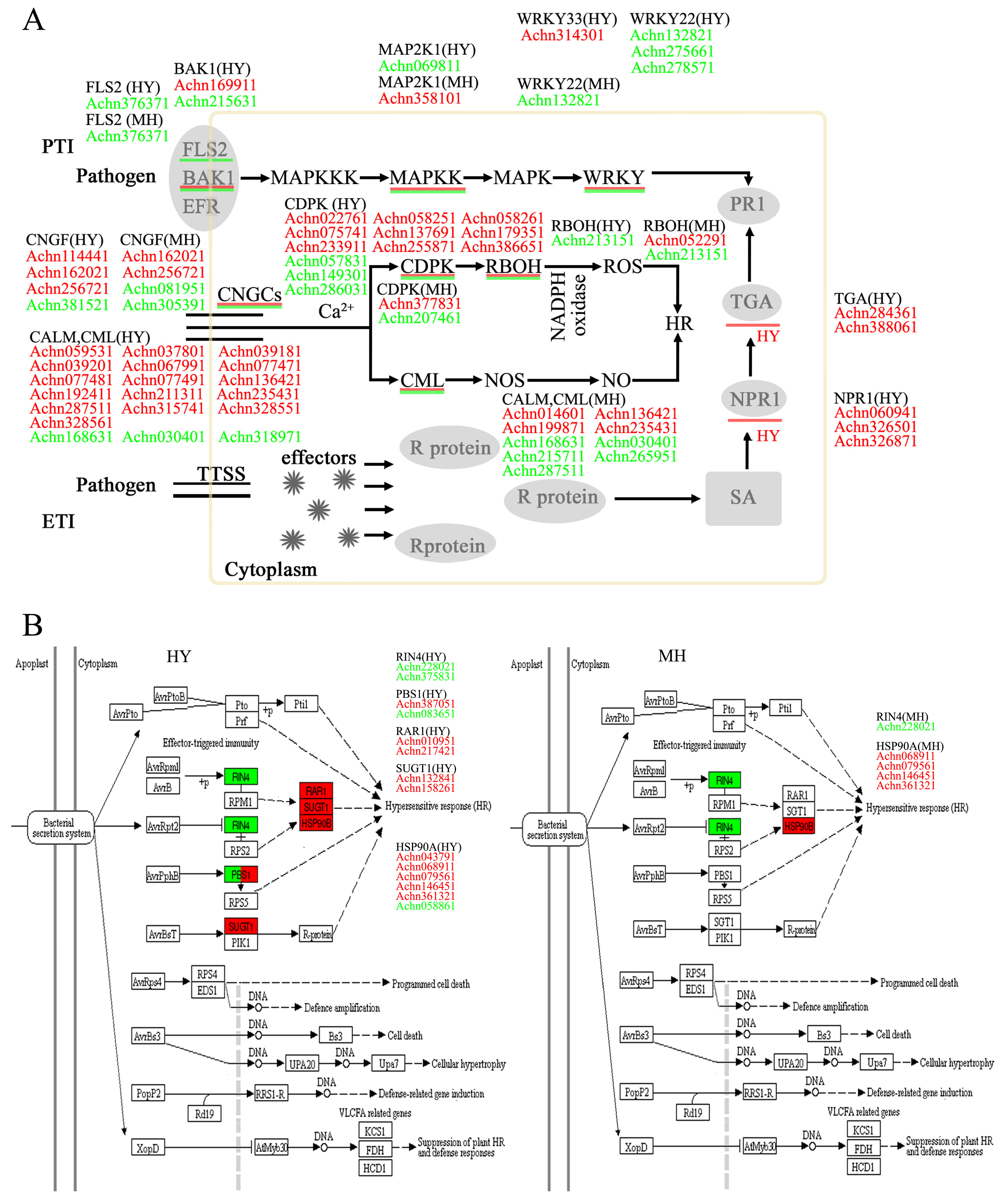 Ijms 23 07643 g004 550