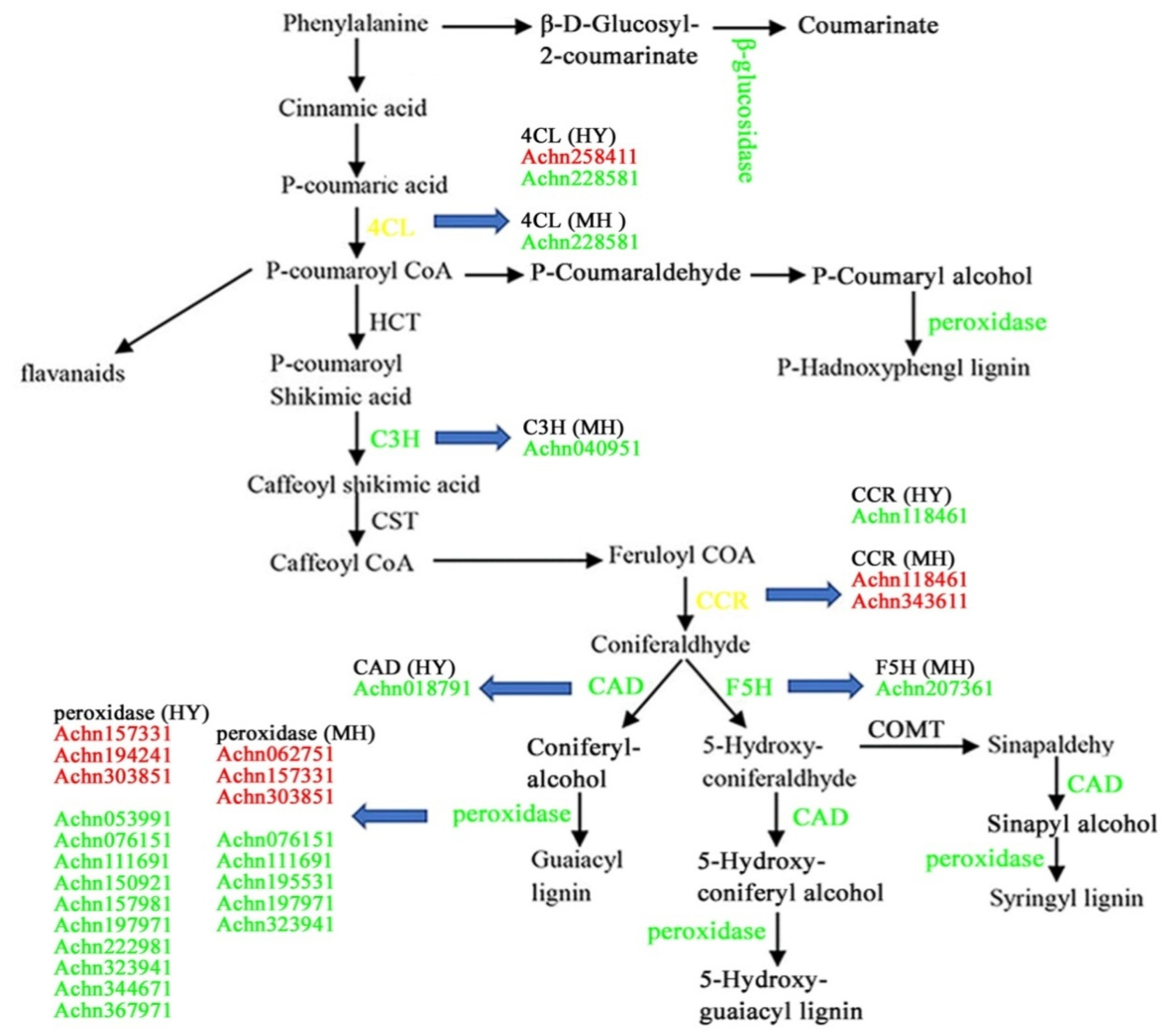 Ijms 23 07643 g005 550