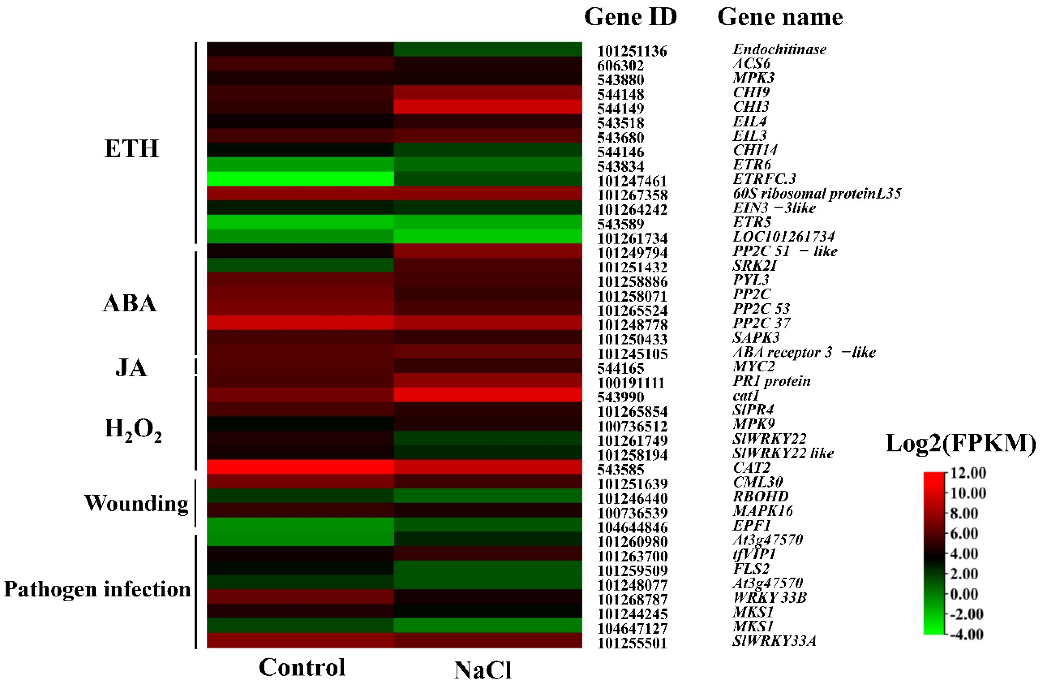 Ijms 23 07645 g003 Ijms 23 07645 g003