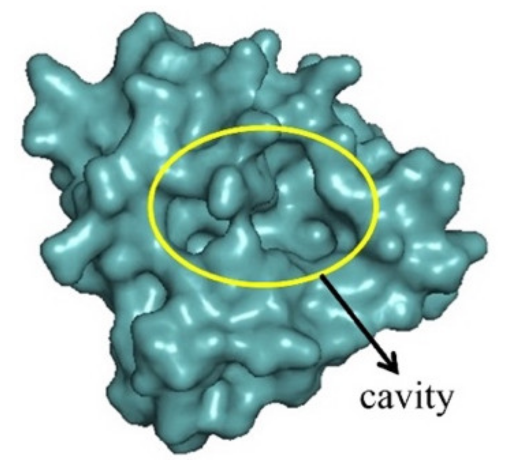 Ijms 23 07646 g002 550