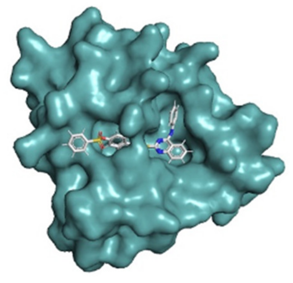 Ijms 23 07646 g003 550