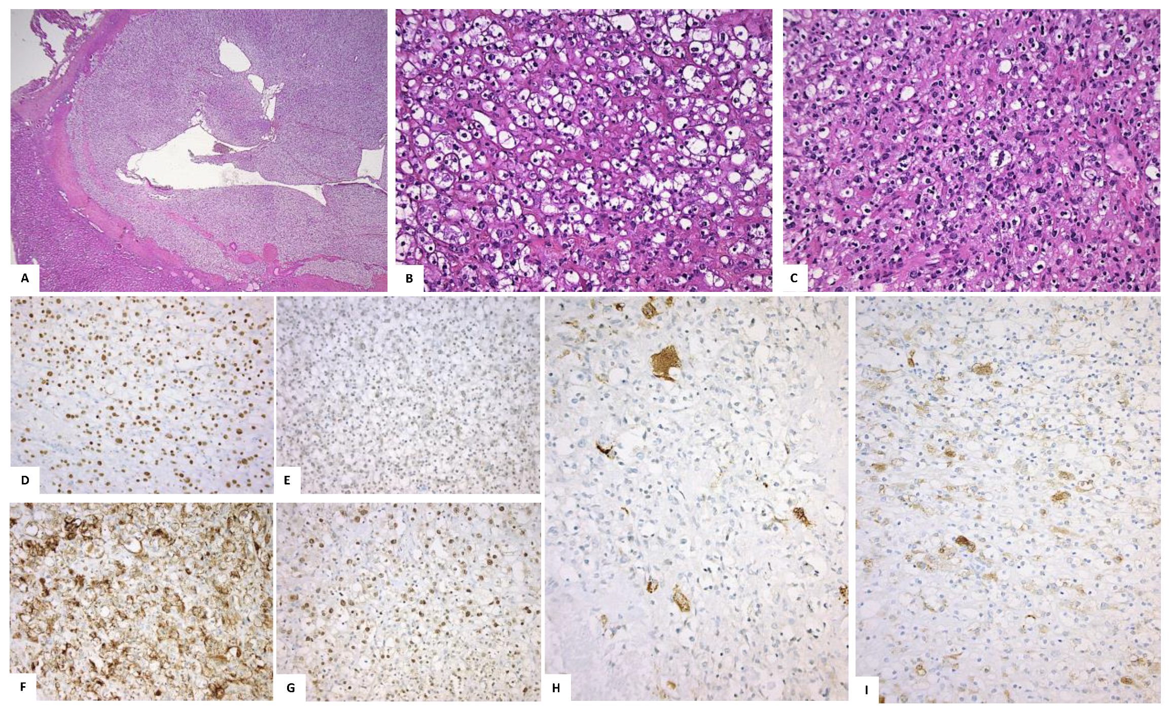 Ijms 23 07649 g002 550